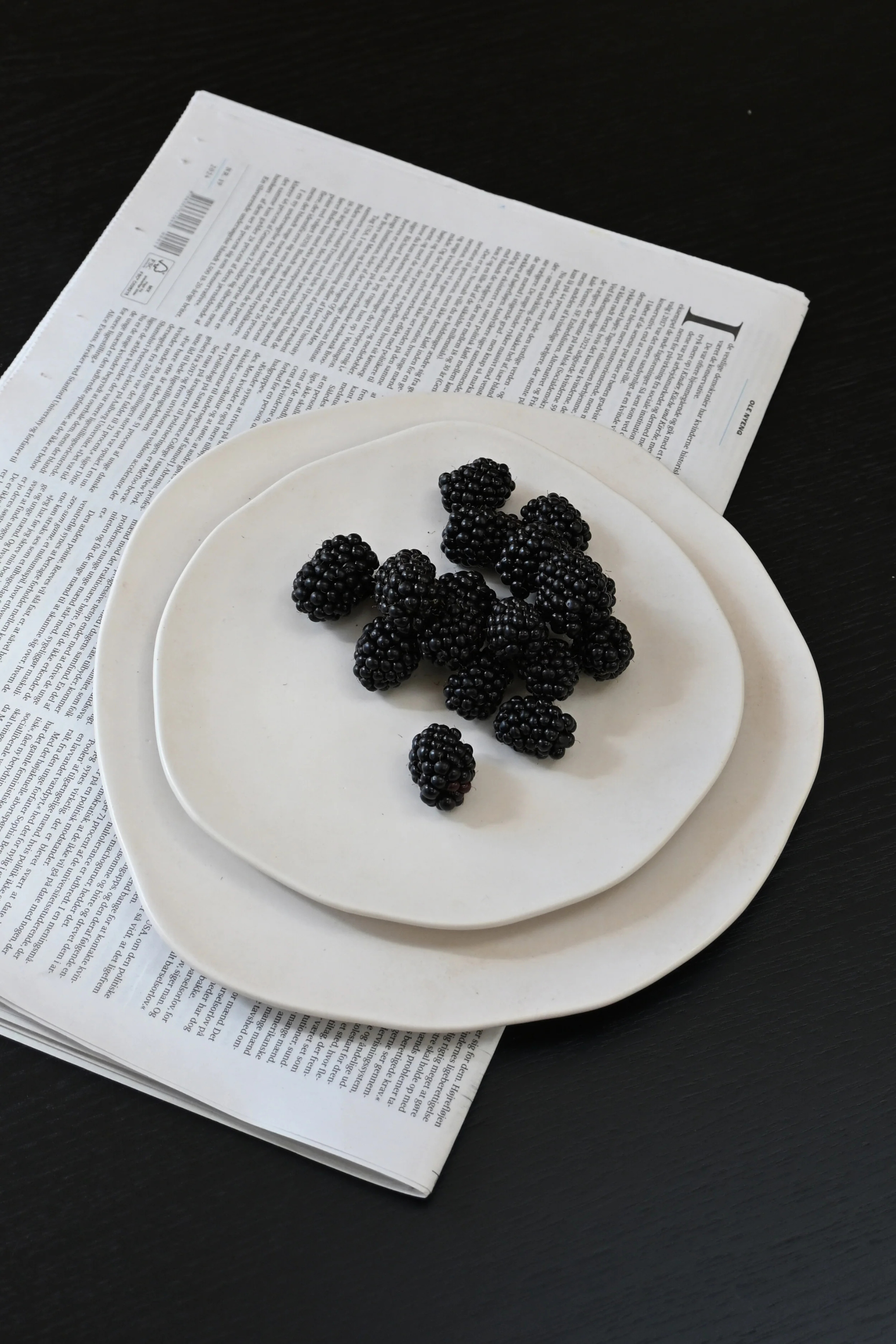 Native Lunch/Dessert Plate - Birch 2 pcs