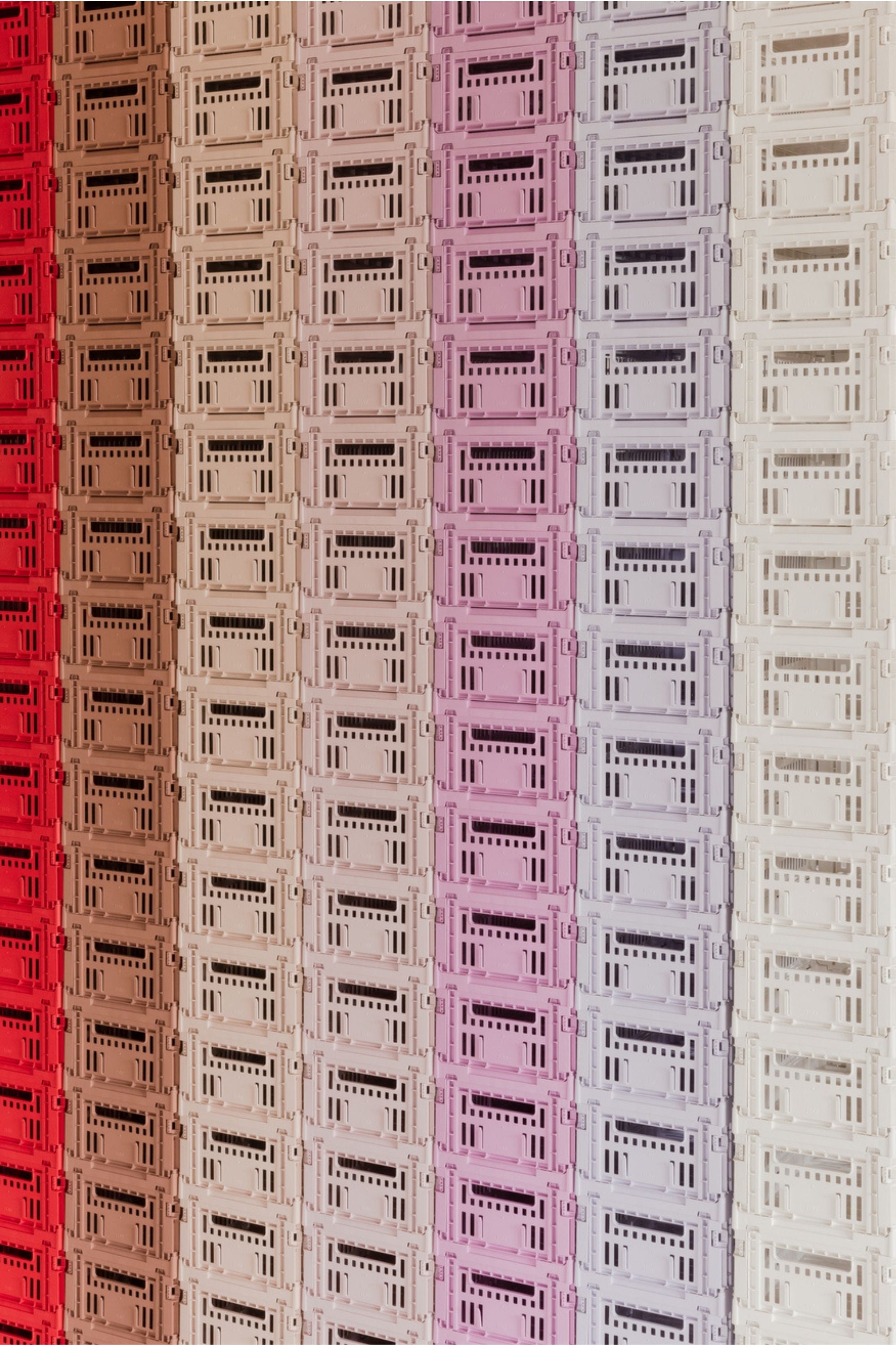 Colour Crate Medium Lavender