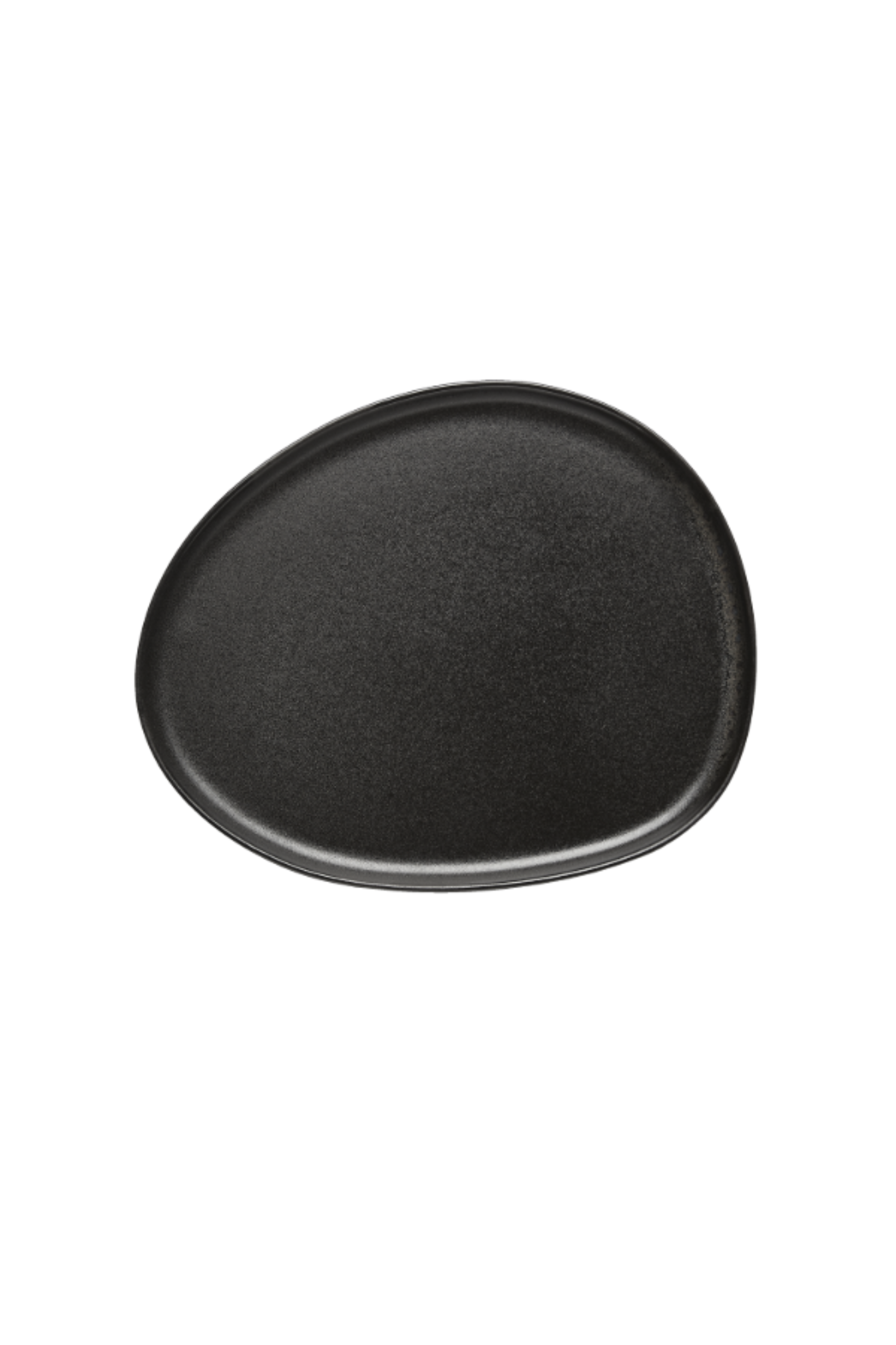 RAW Organic Titanium Black - lunch plate