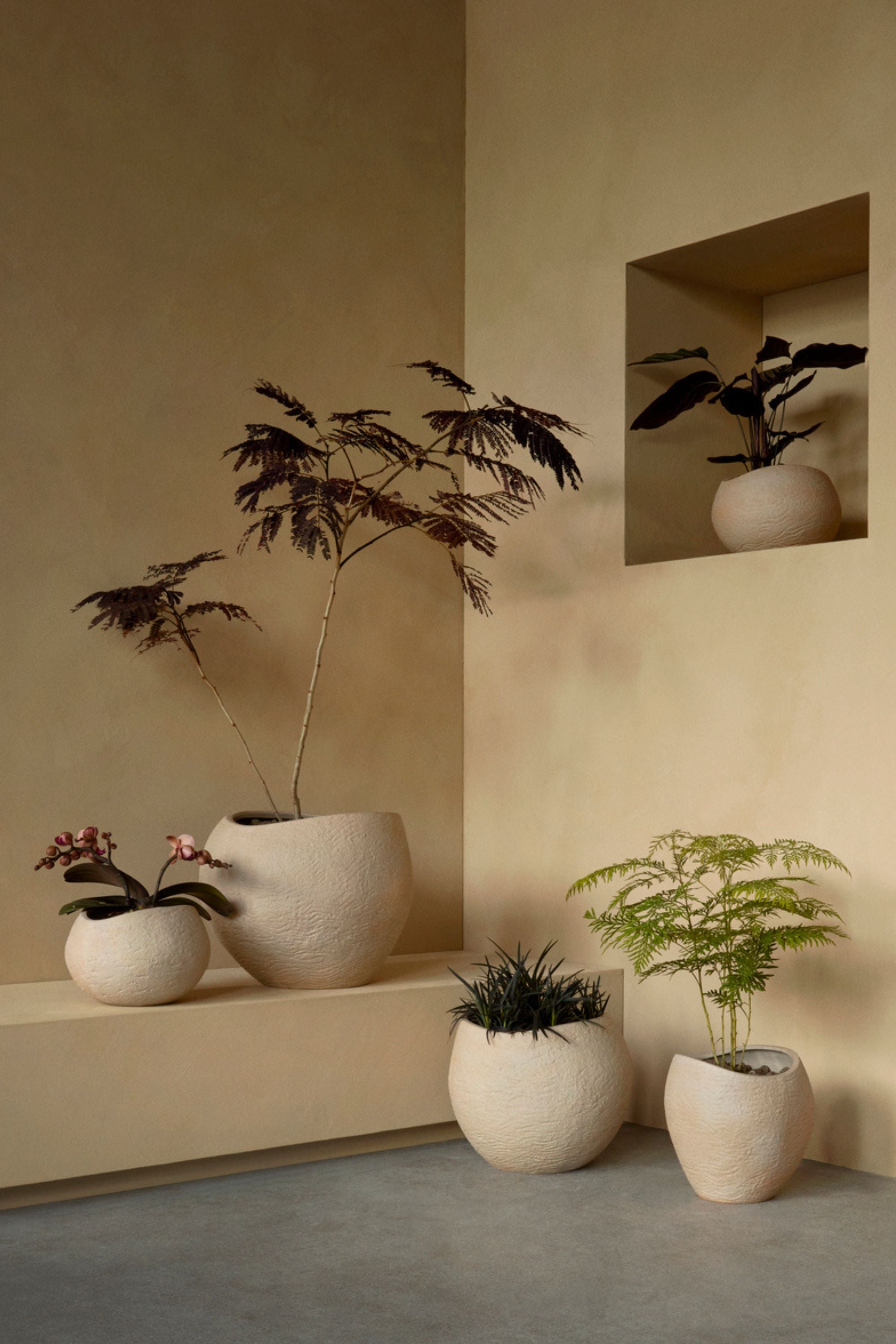 Plantas Planter H32 Ivory