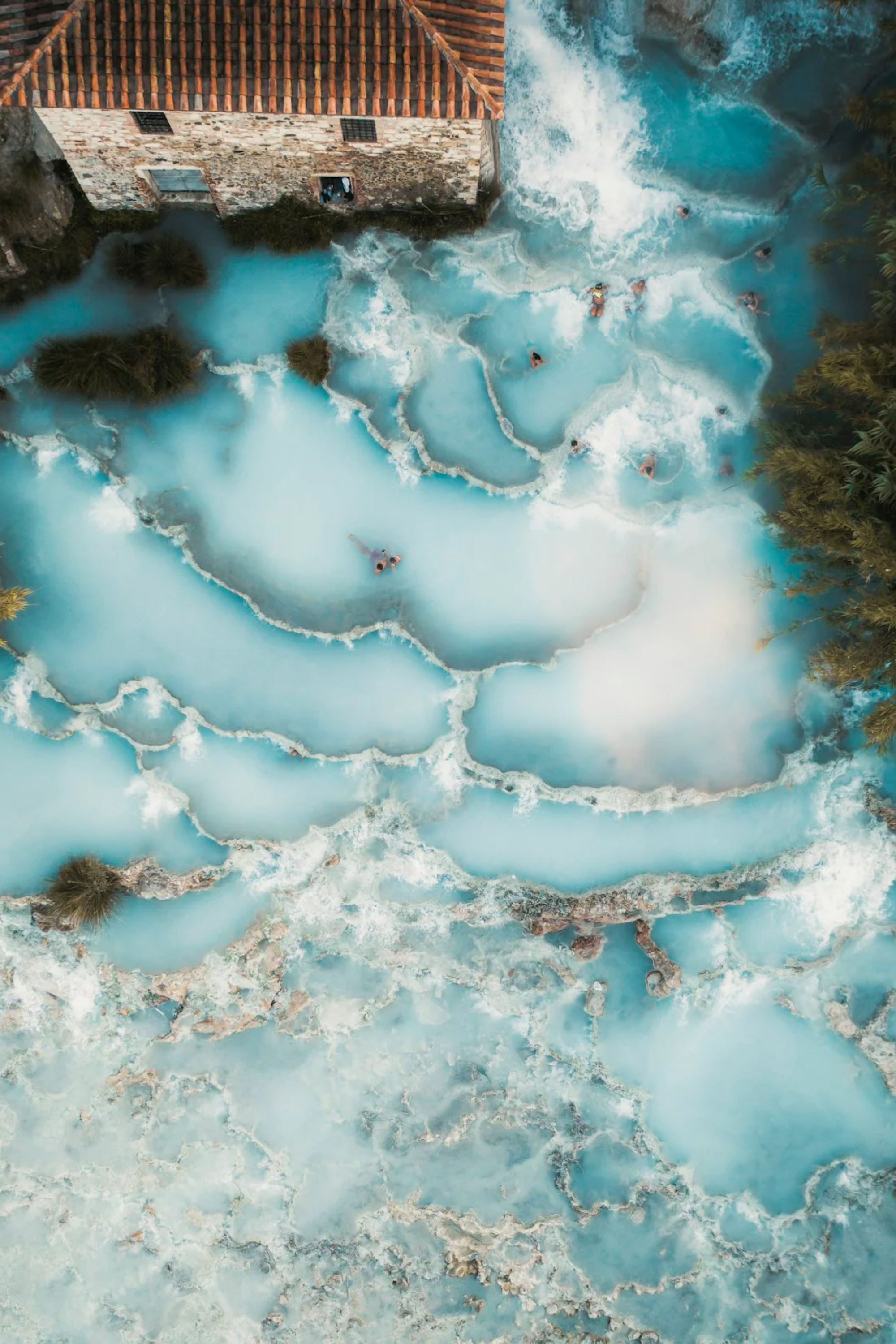 The Nature of Swimming