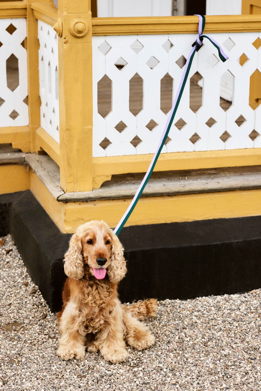 HAY Dogs Leash Flat M/L Lavender and Green