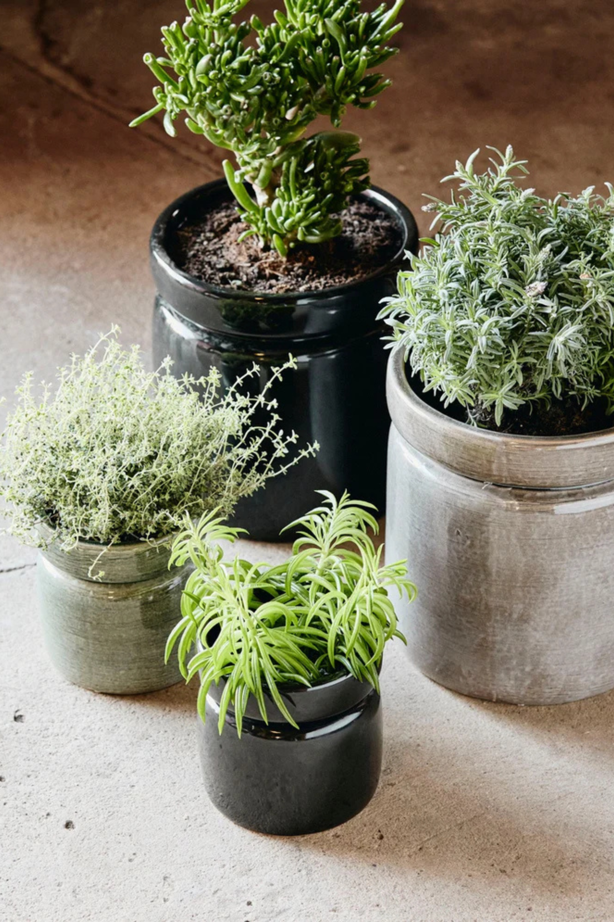 Isa kaspó, S, fényes fekete mázzal