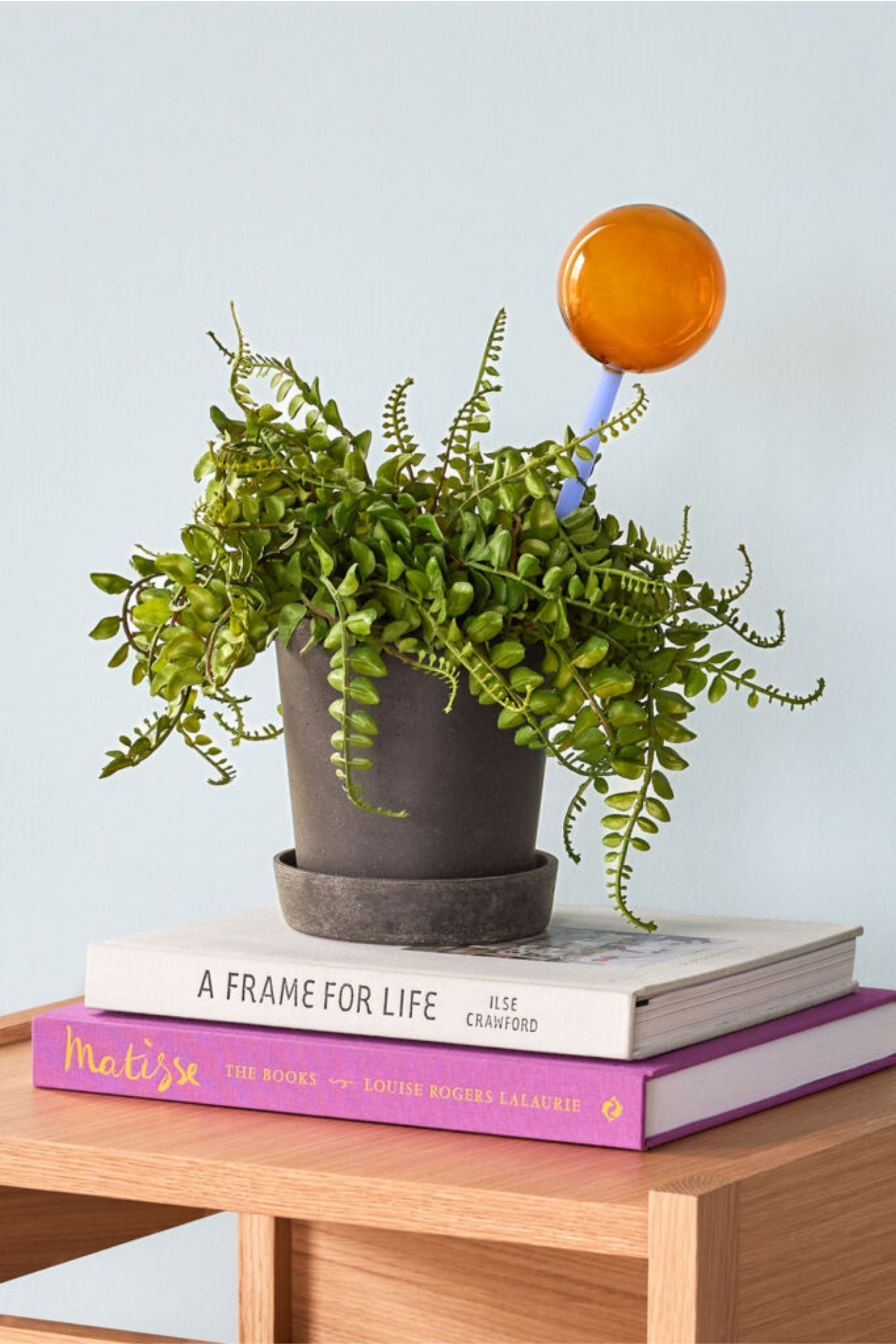 Podium Pot with saucer S
