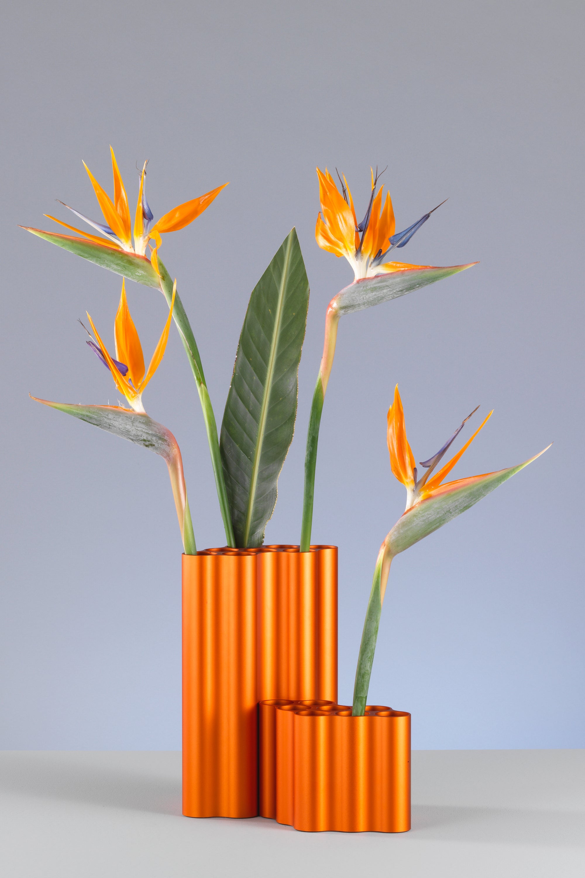 Nuage közepes narancs váza