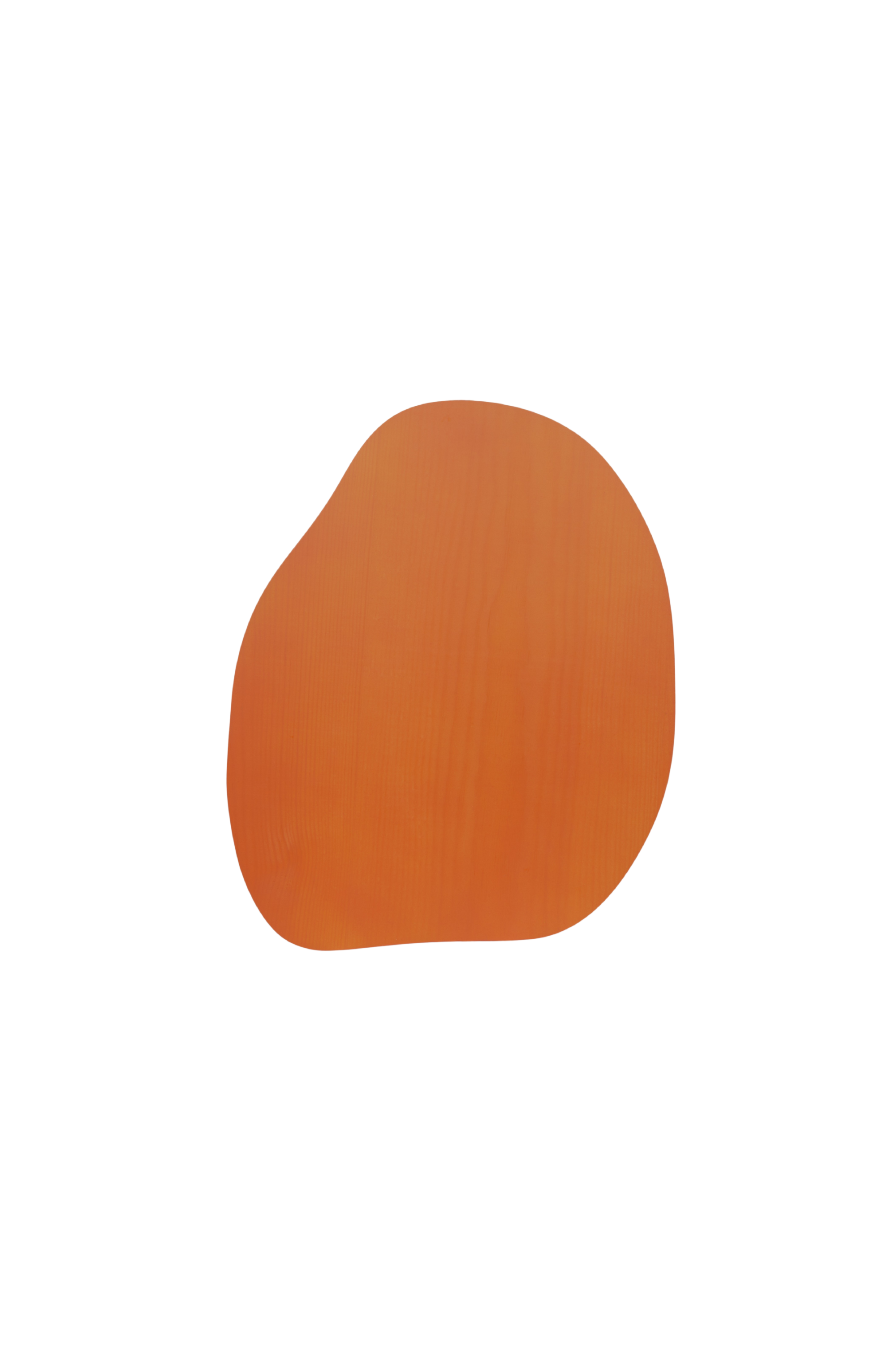 Pond Orange Wall Ornament