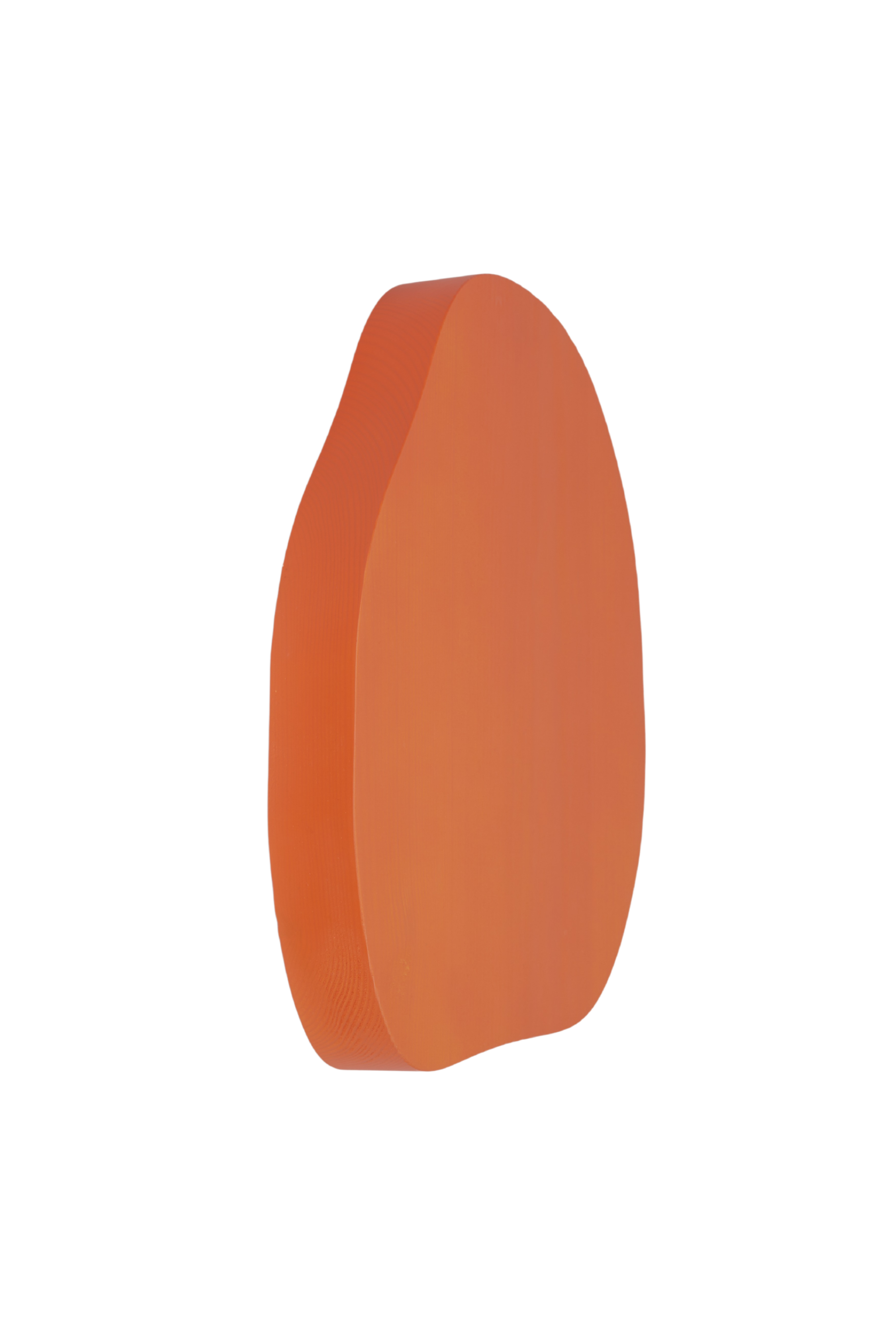 Pond Orange Wall Ornament