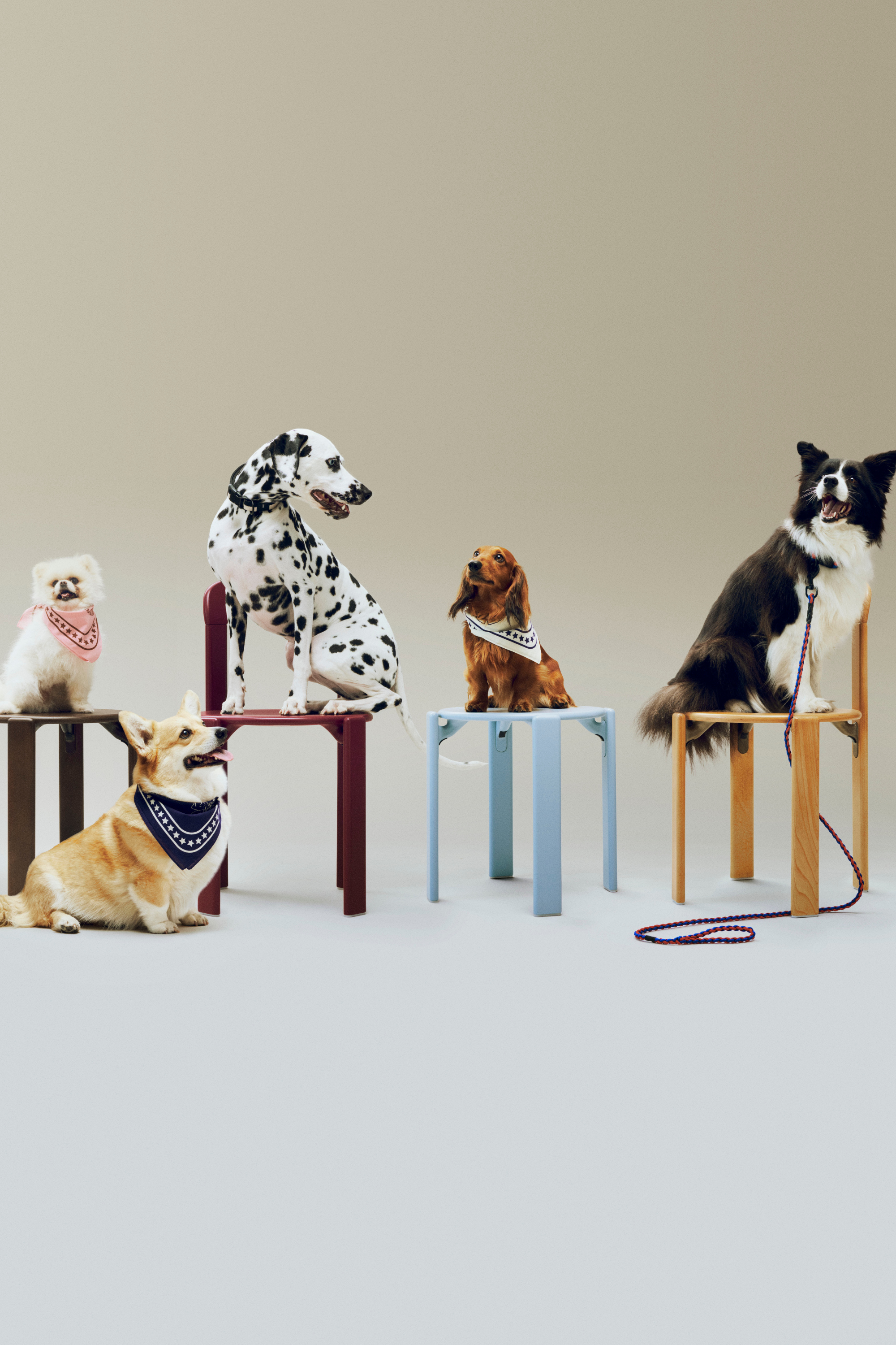 HAY Dogs sál (újrahasznosított) 55x55 barna