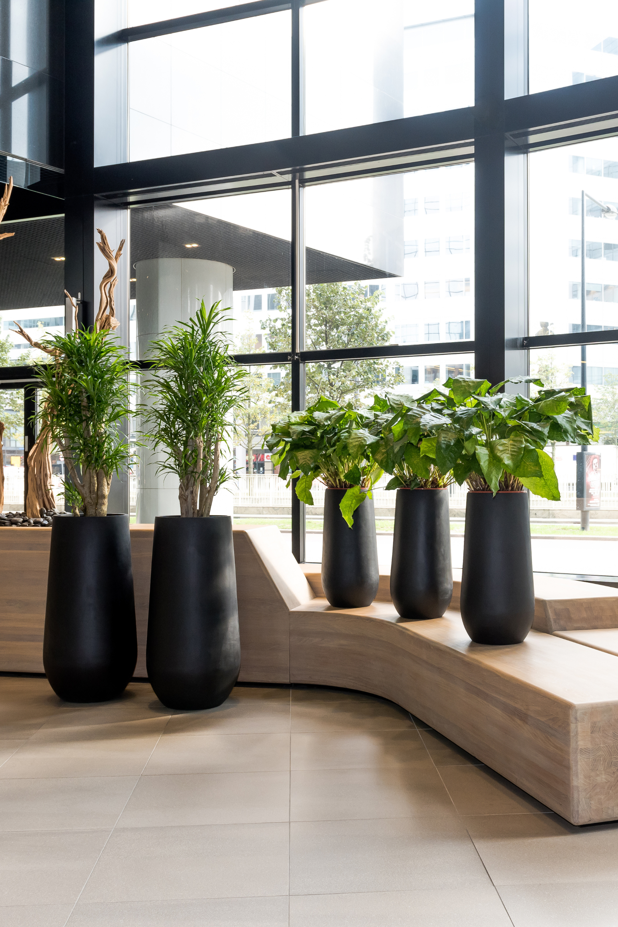 Nax M Black Flowerpot