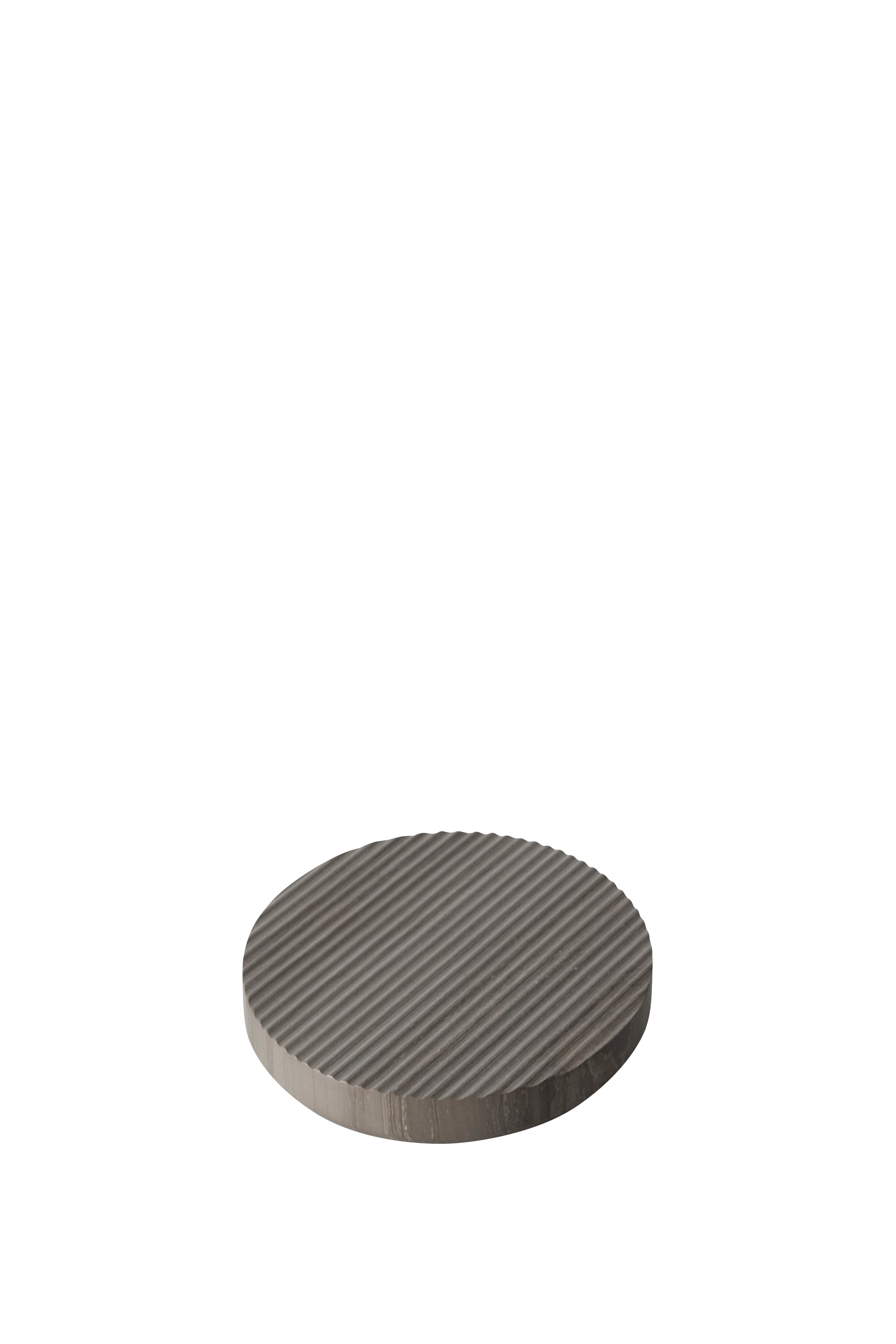 A circular gray disc with a ribbed or slotted top surface, shown on a plain white background.