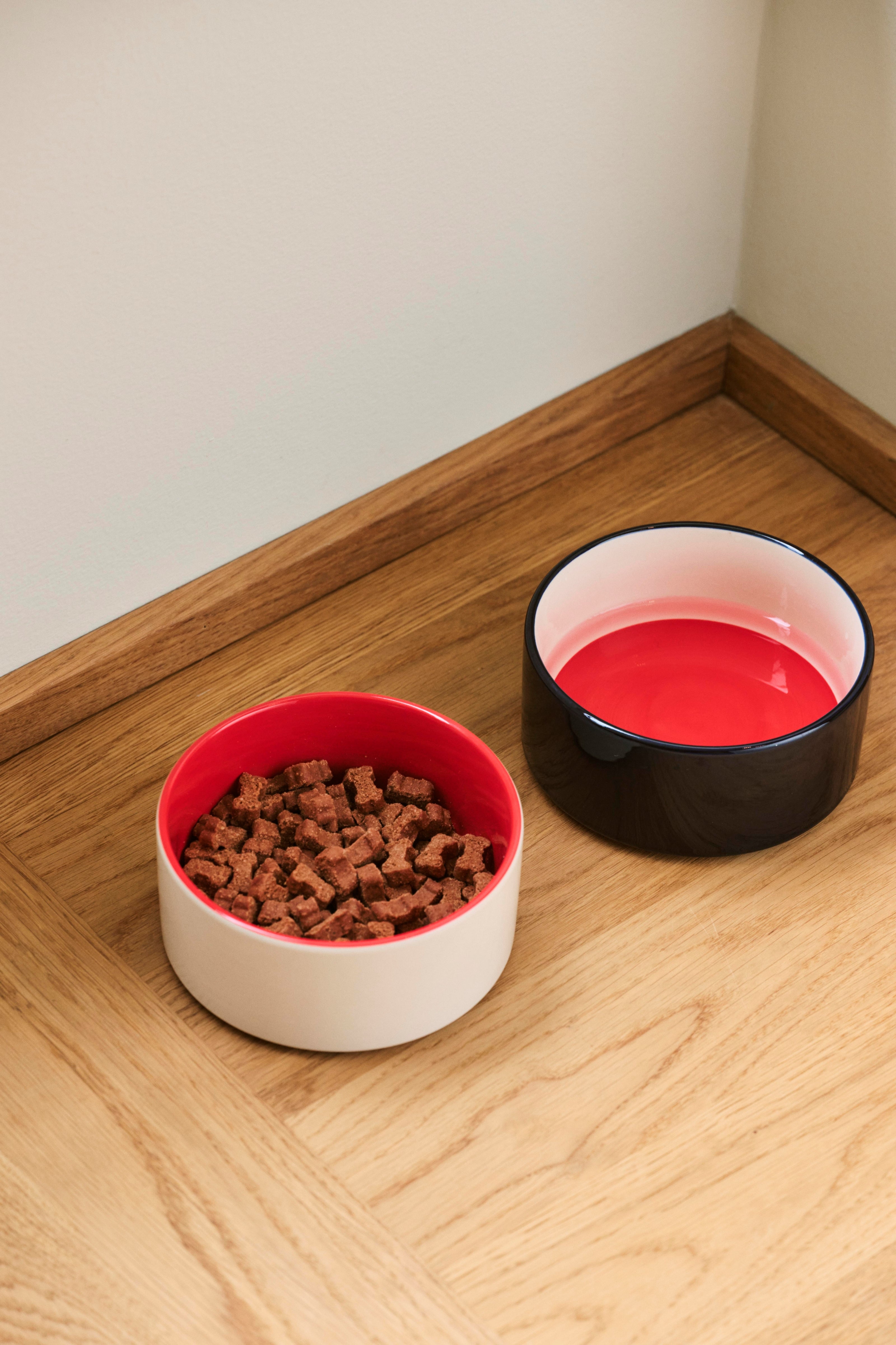 HAY Dogs Bowl-Small-Red, blue | Hay | Home of Solinfo
