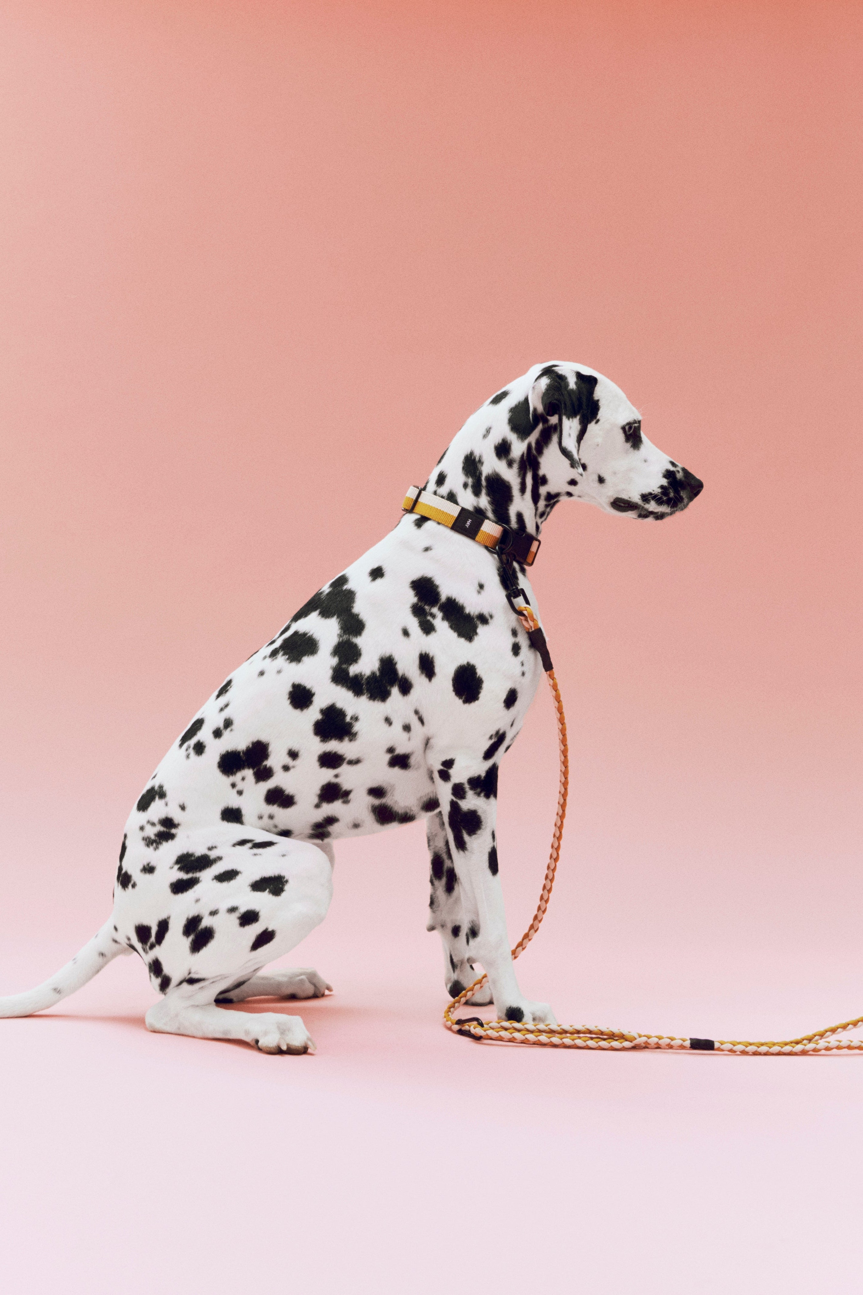 HAY Dogs Leash-Braided Adjustable M/L off-white, ochre | Hay | Home of Solinfo