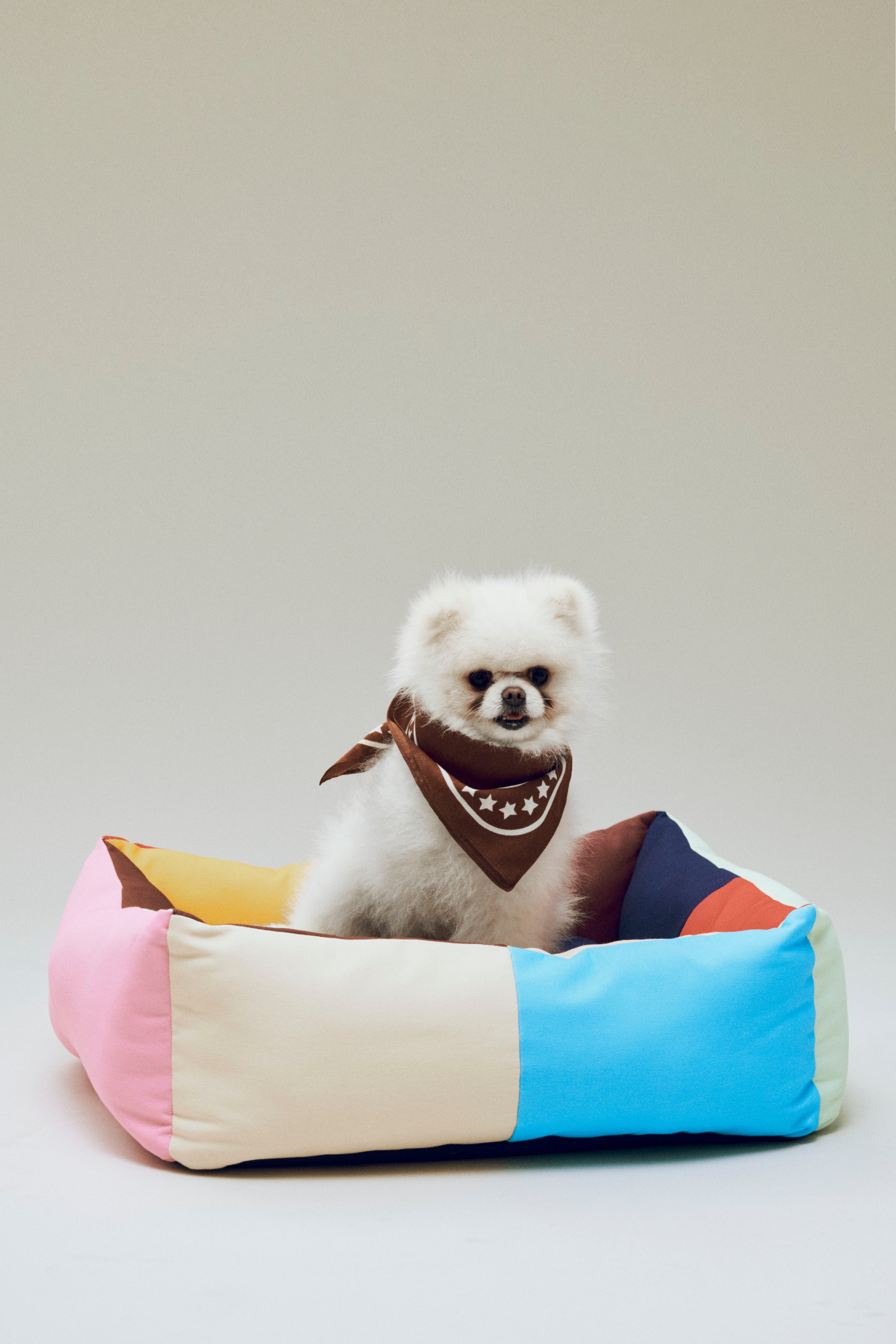 HAY Dogs Bed-Medium-Multi | Hay | Home of Solinfo