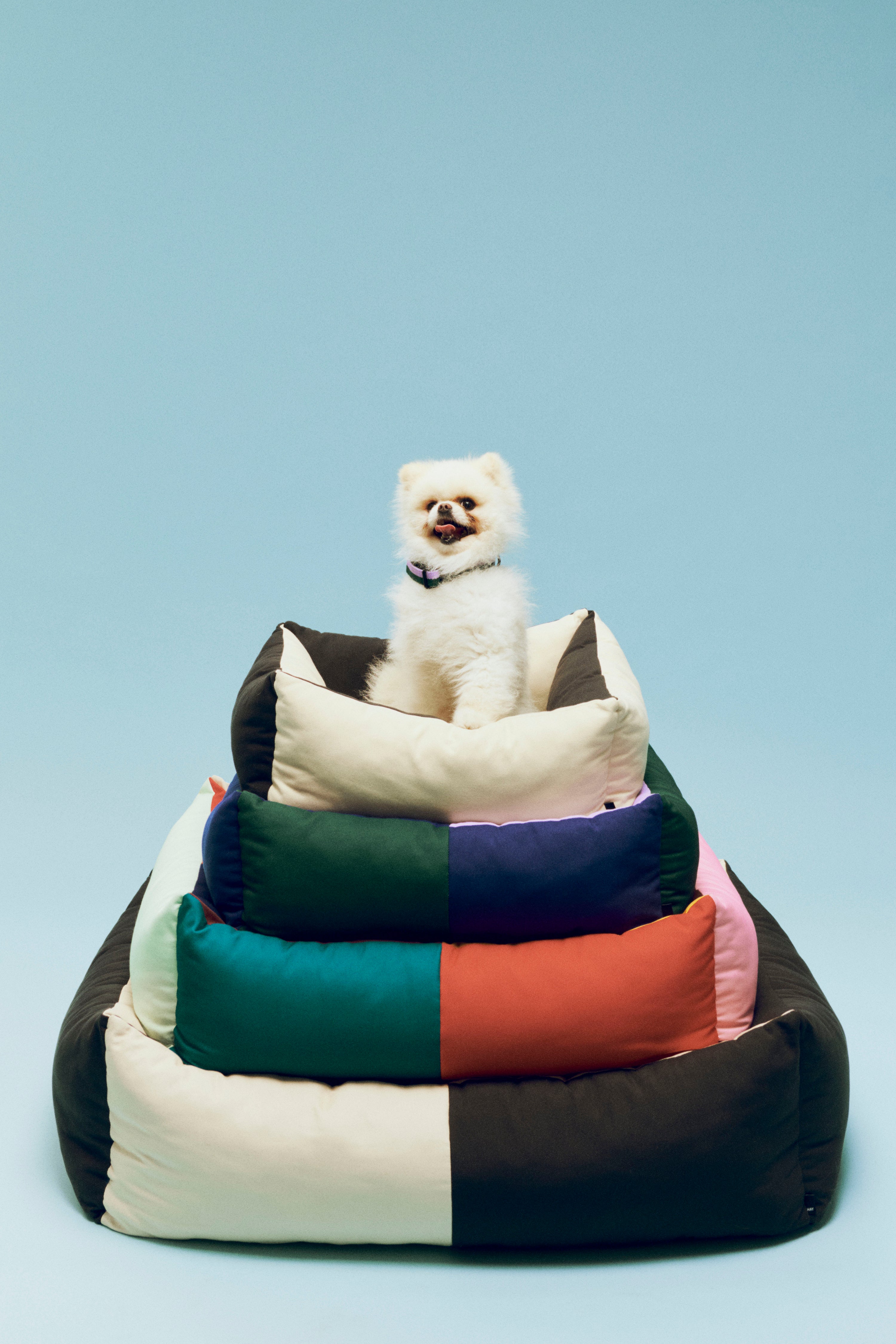 HAY Dogs Bed-X-Small-Black, white| Hay | Home of Solinfo