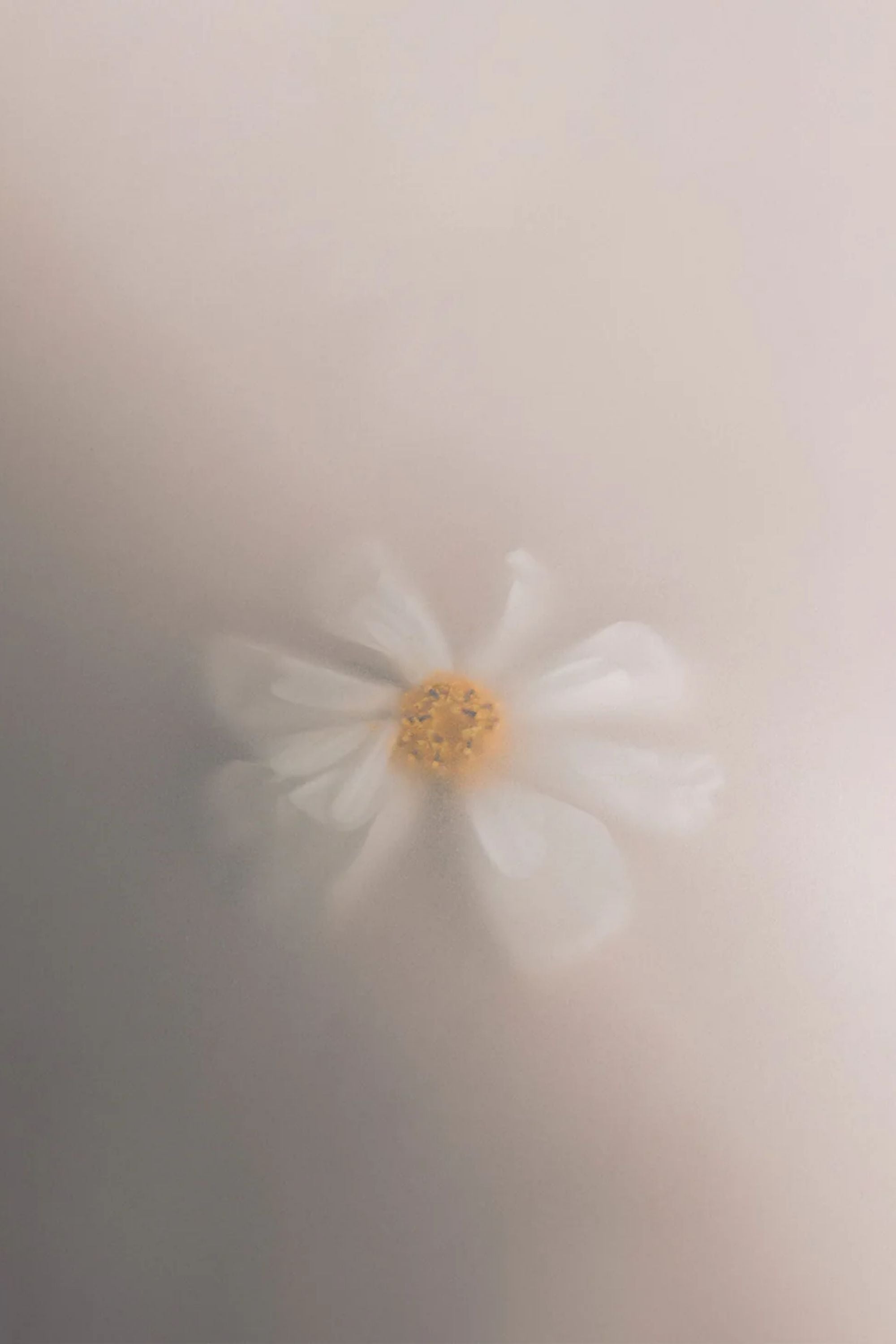 Olfacte Scented Candle En Passant