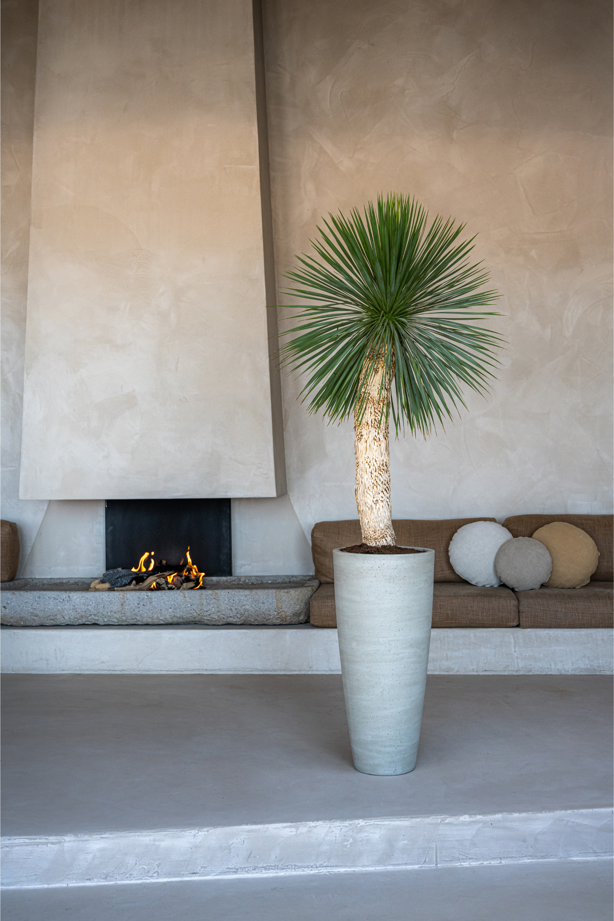 Dax L Beige Washed Flowerpot
