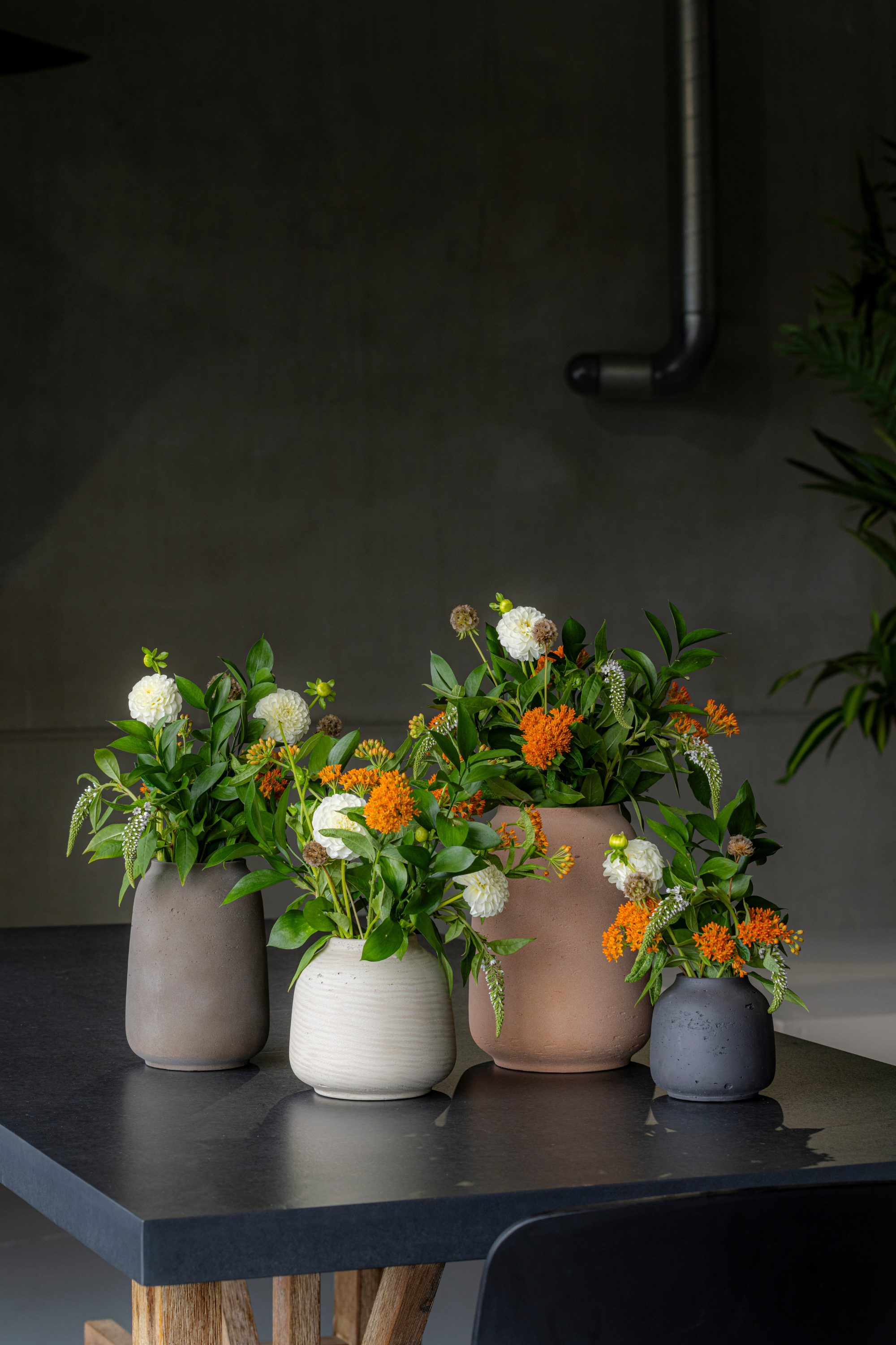 Mahir M Mocha Planter
