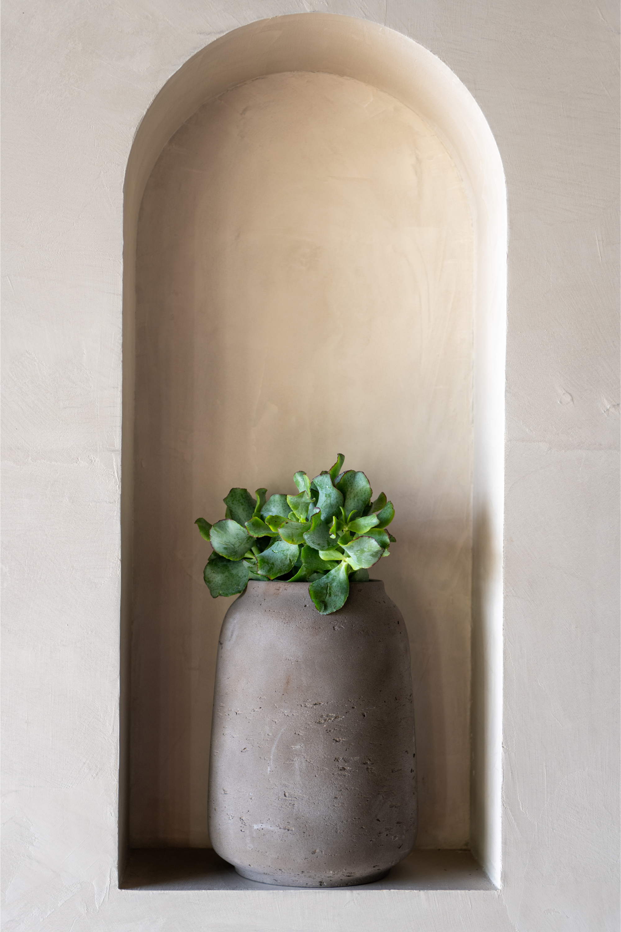 Mahir L Mocha Planter