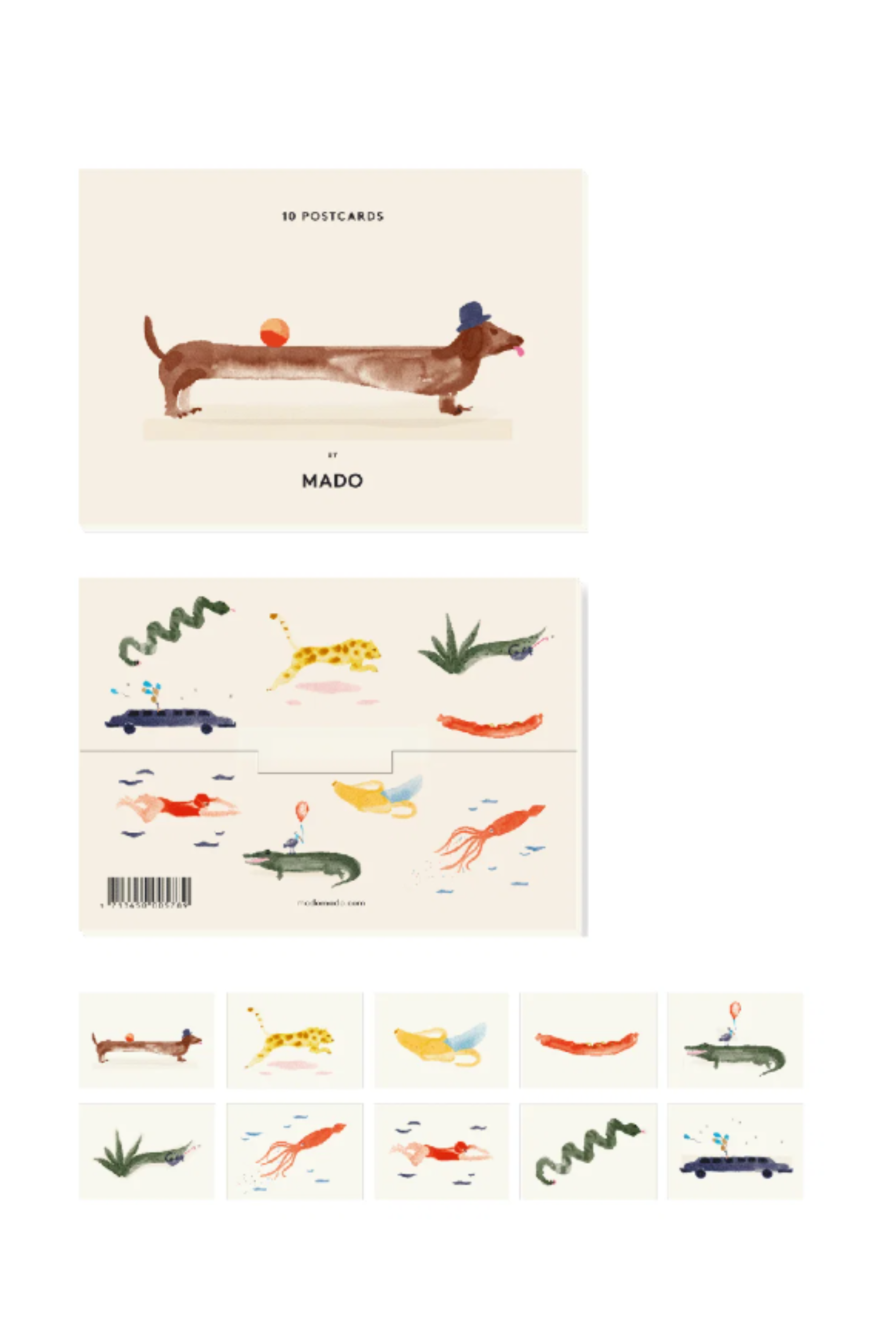 Box of Friends (set of 10 cards)
