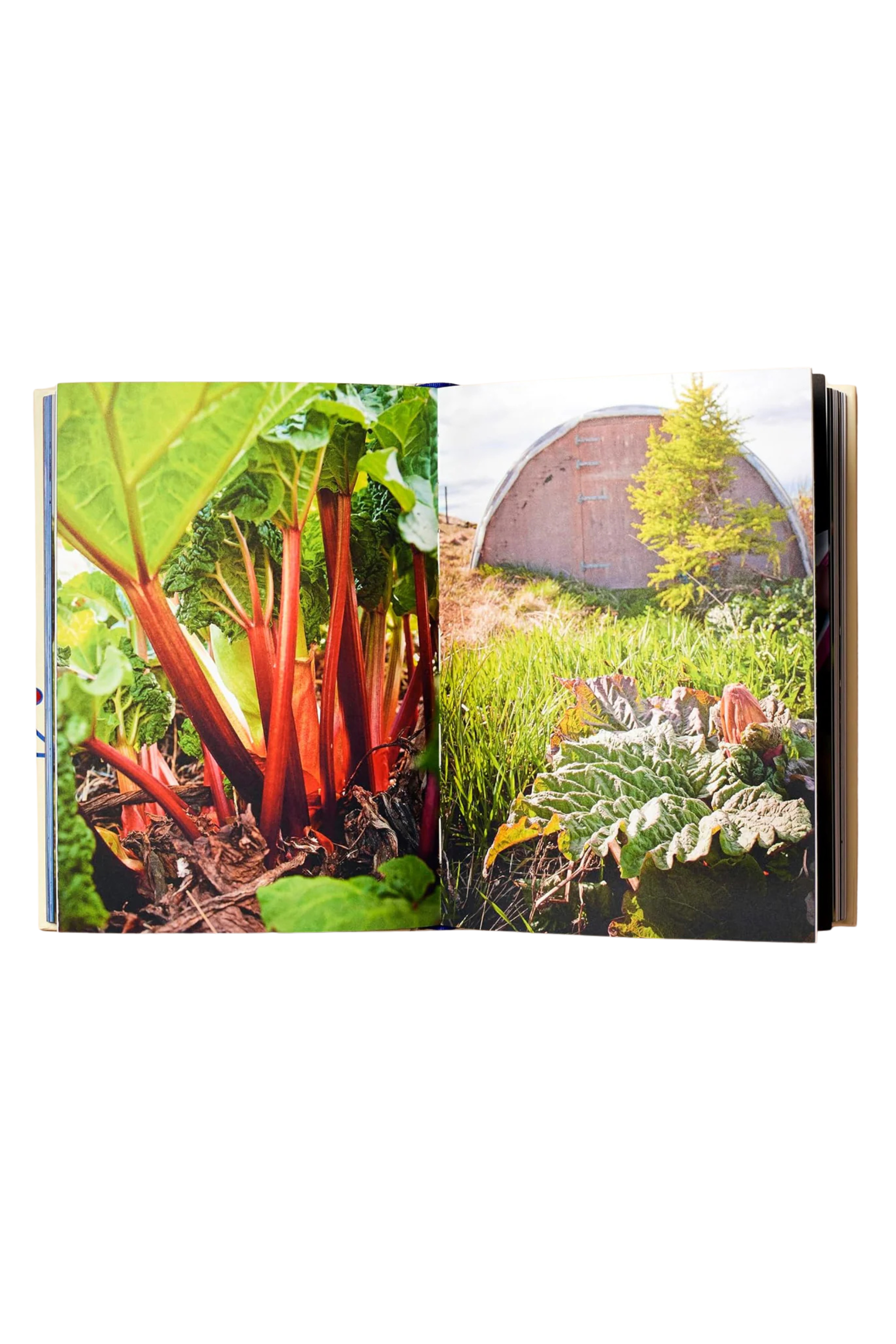 Scandinavia - Recipes and Ingredients