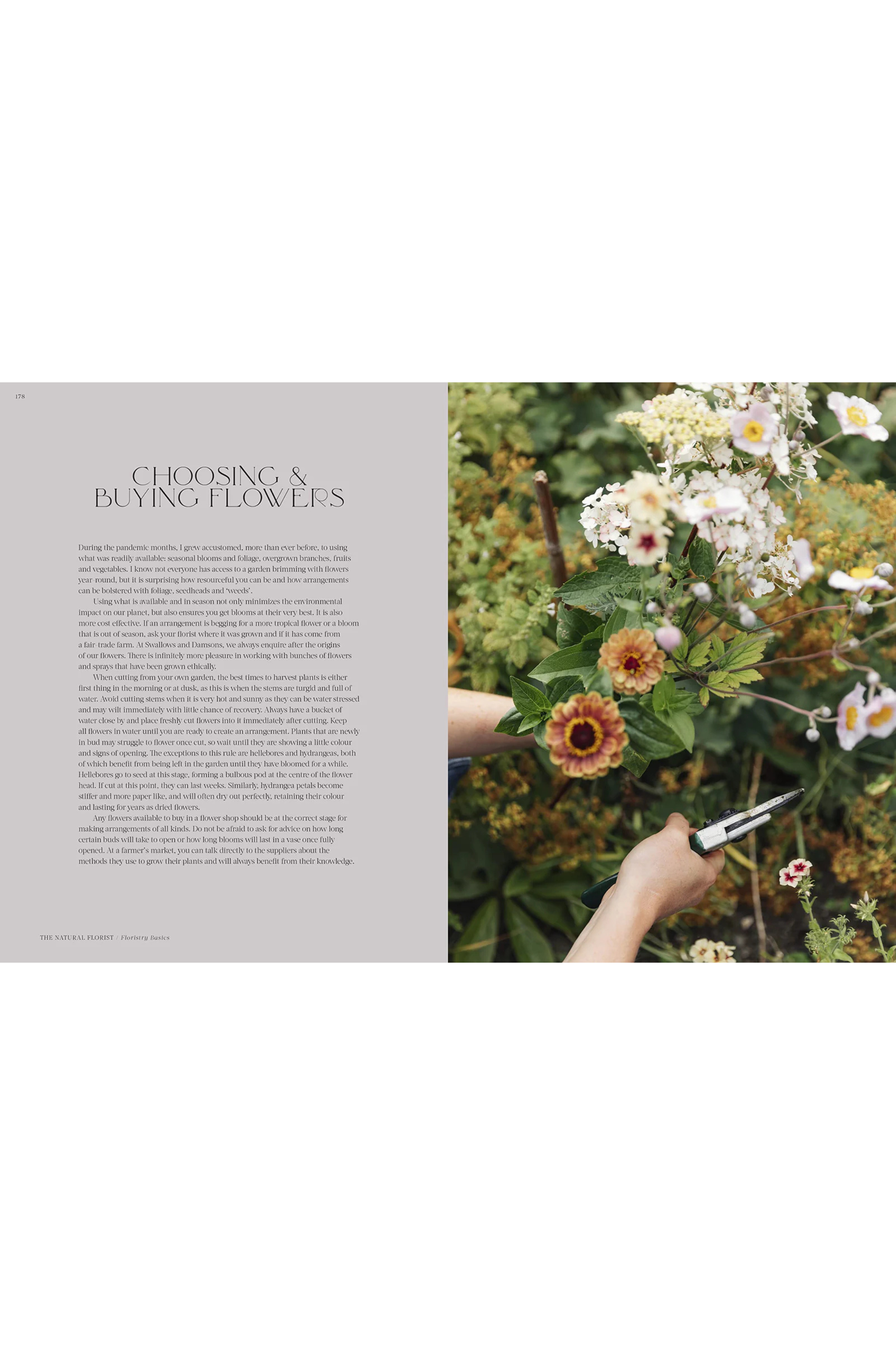 Flower Philosophy