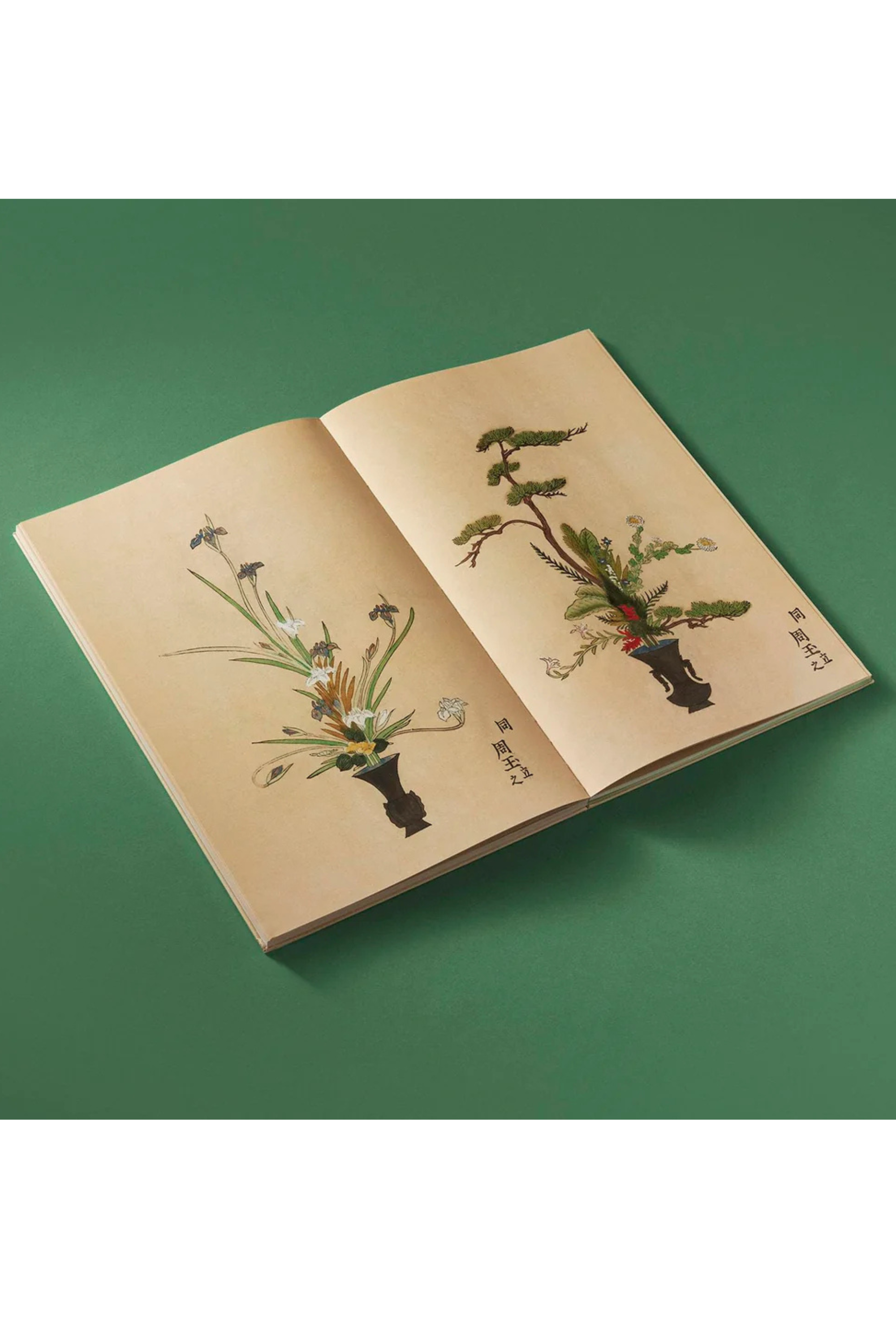 Ikebana