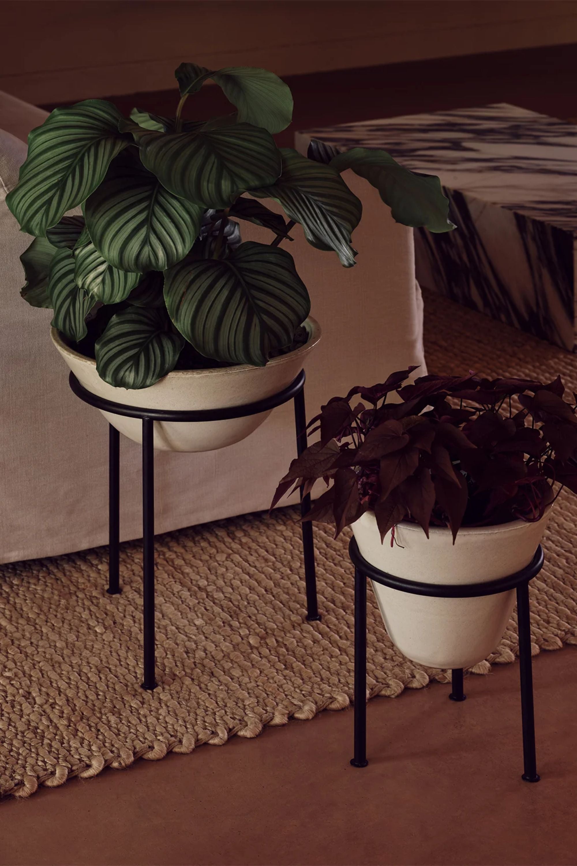 Daiza Planter H67 Ivory