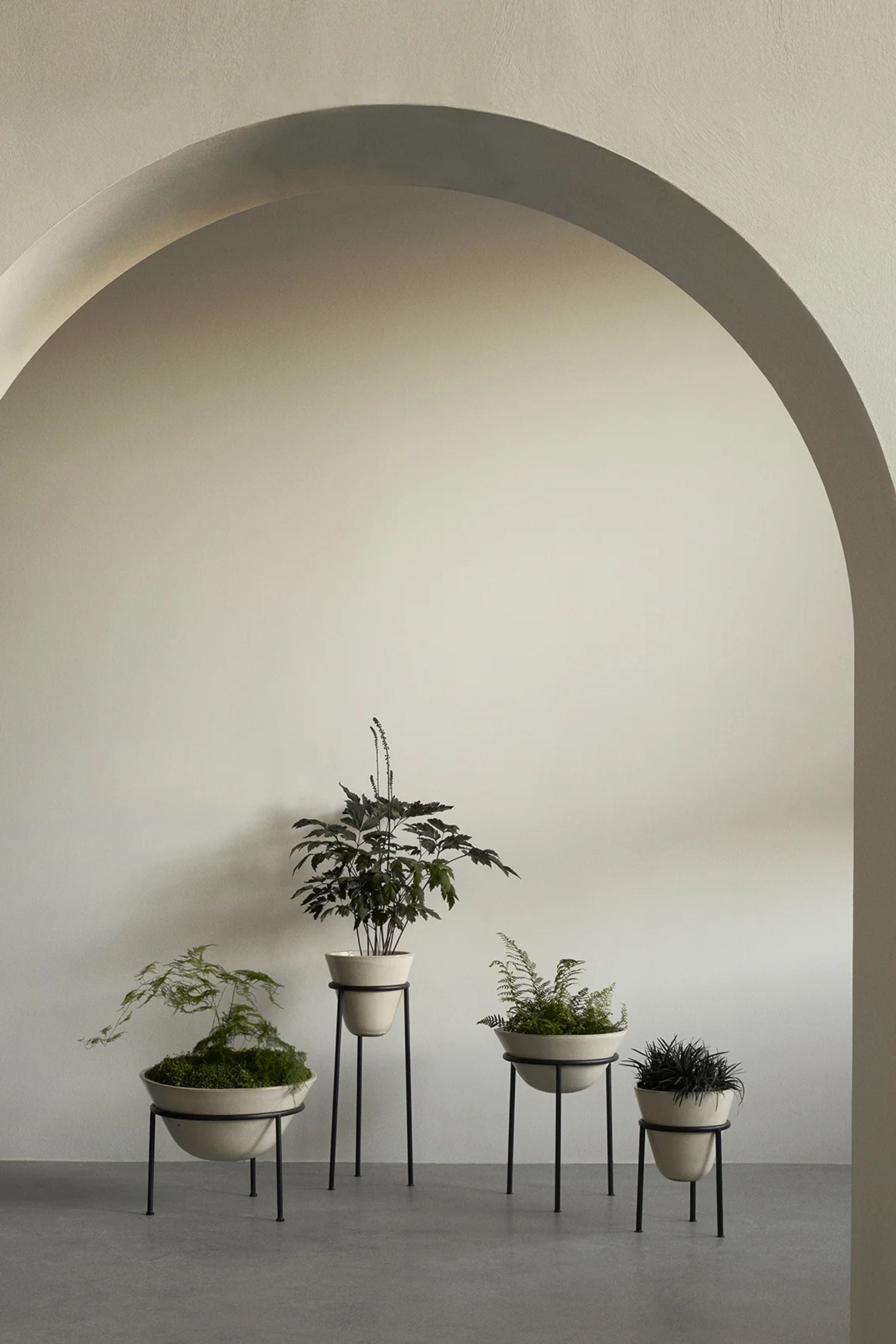 Daiza Planter H67 Ivory