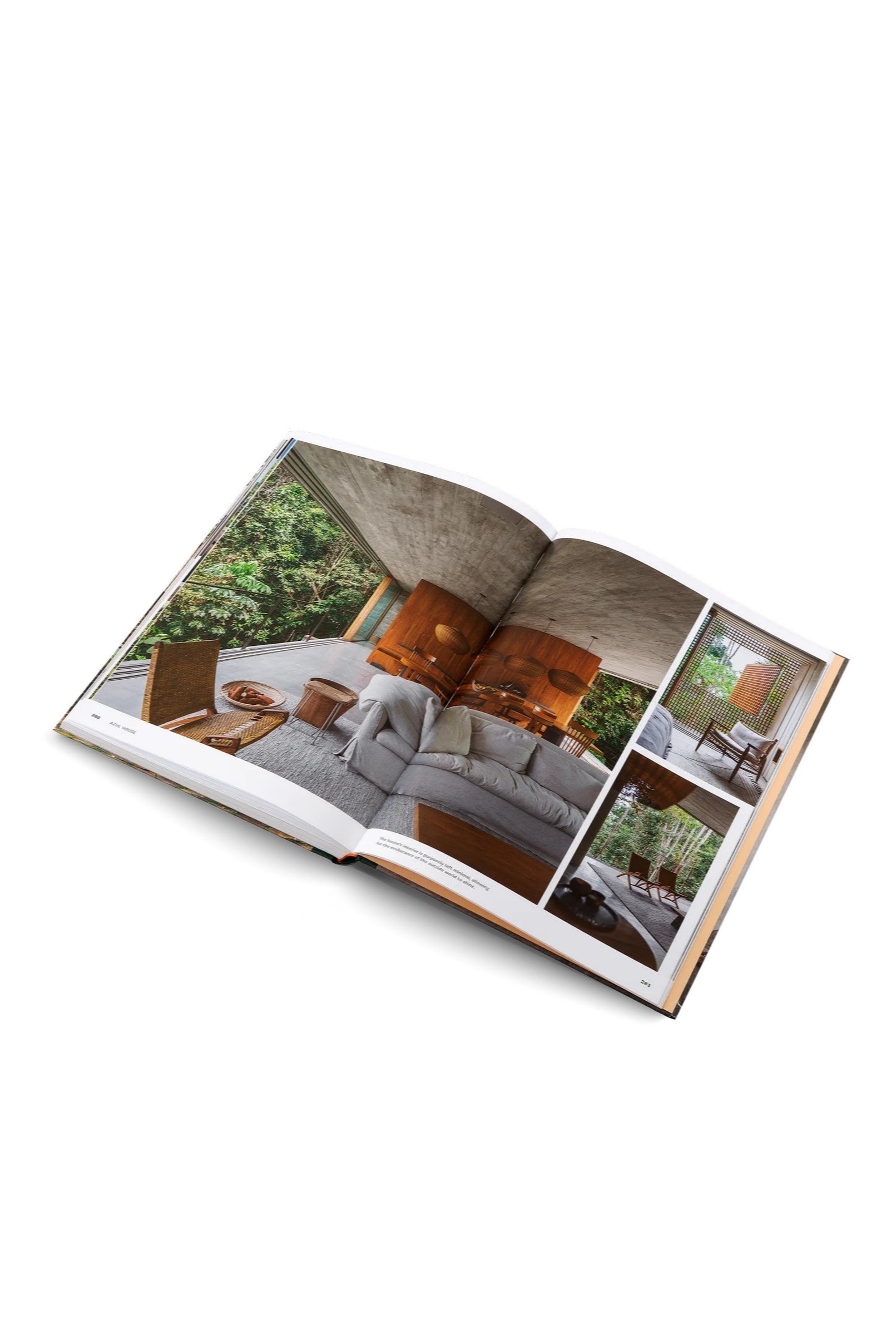 Concrete Jungle | Gestalten | Home of Solinfo