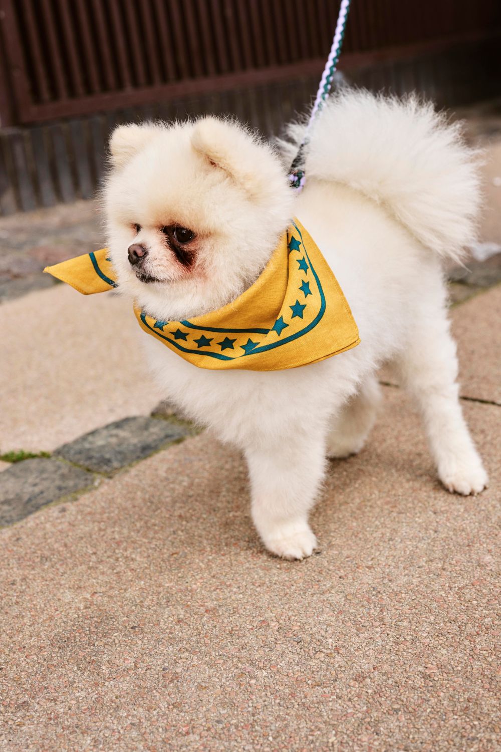 HAY Dogs Scarf Ochre