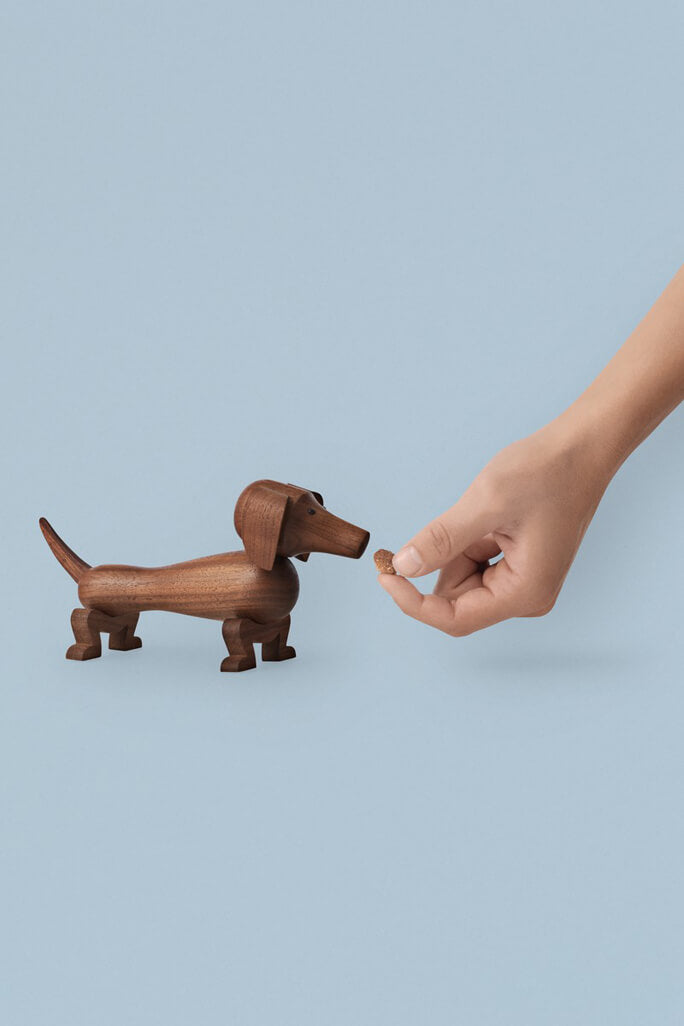 Walnut dog