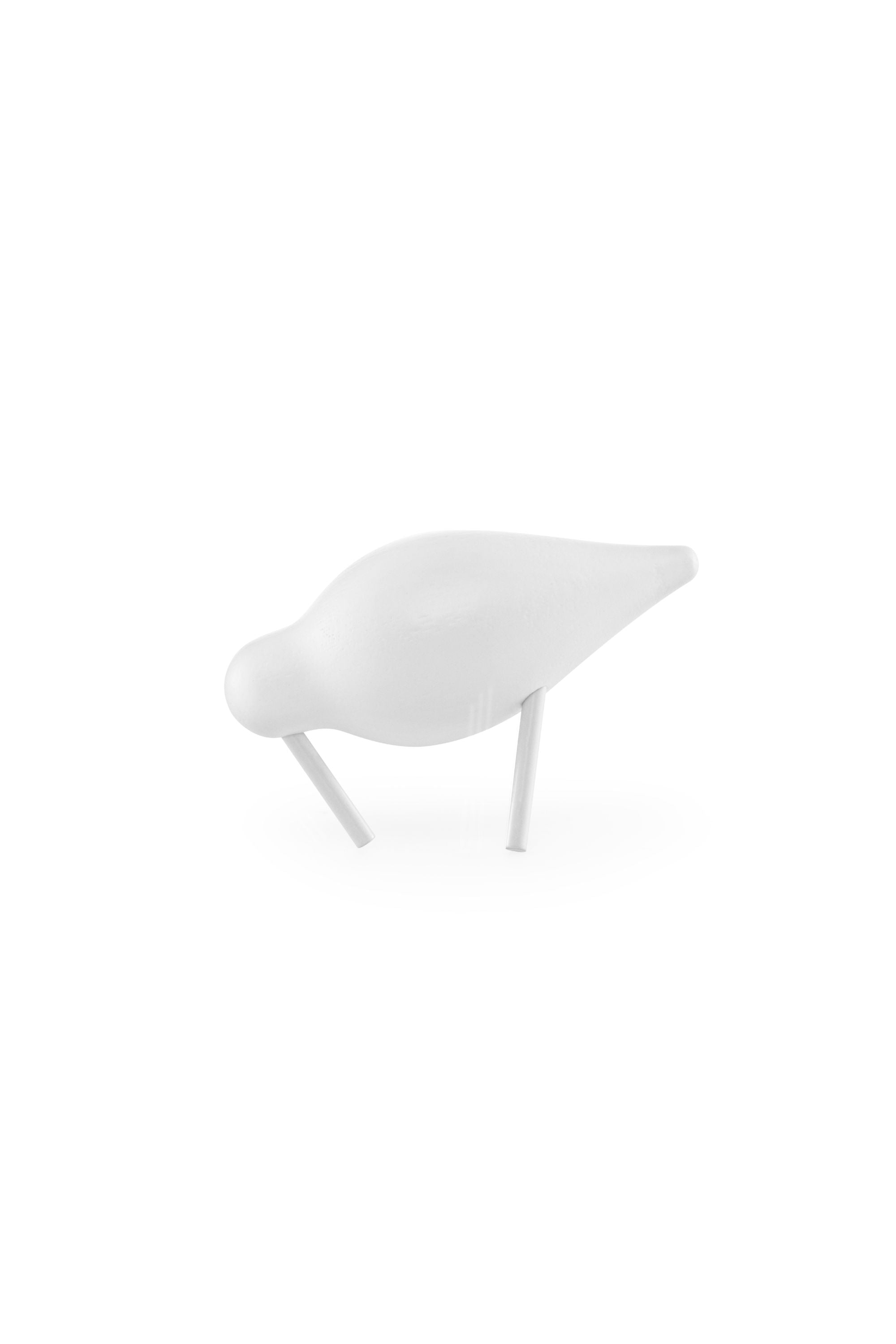 Shorebird Small White