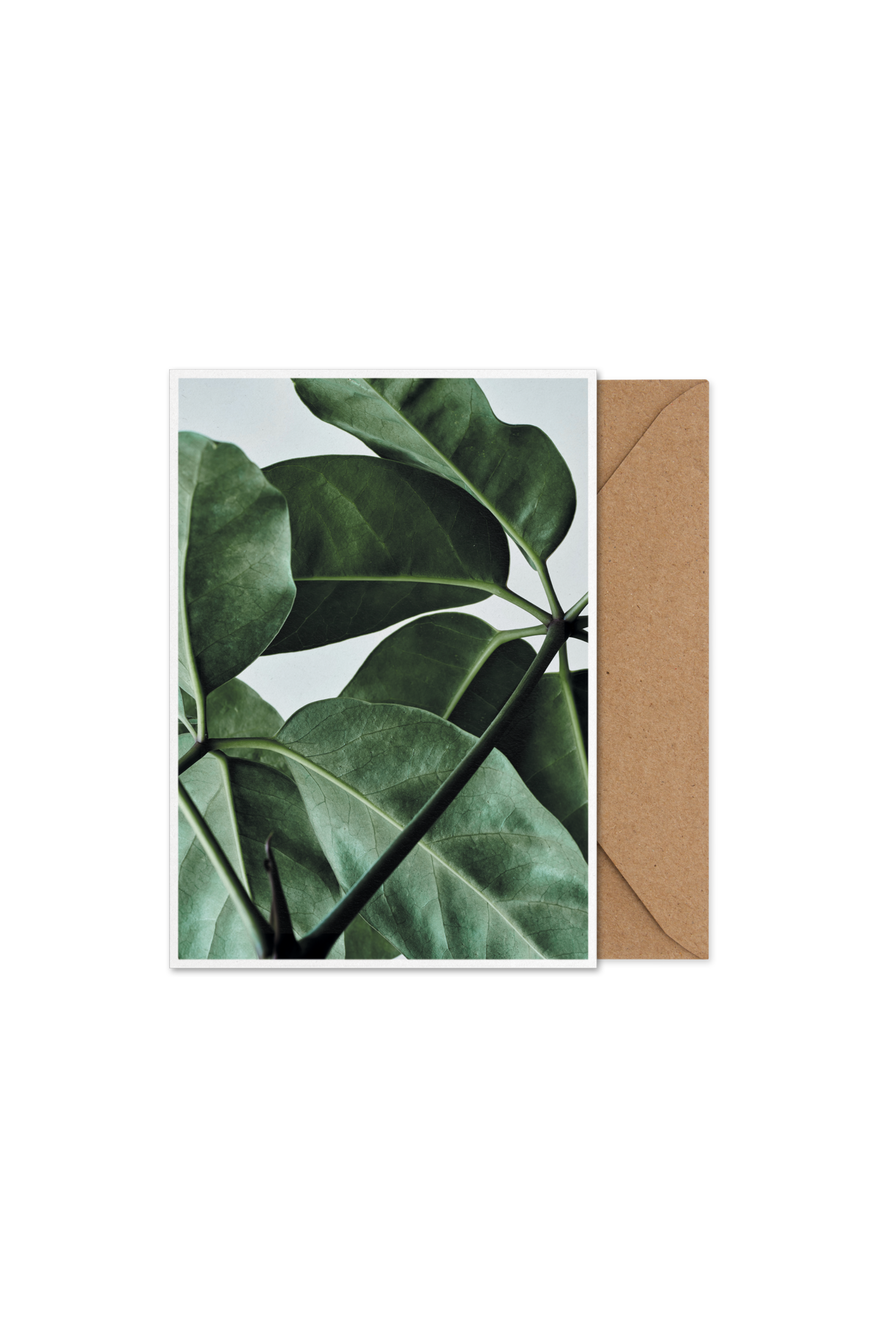 Green Home 01 Art card