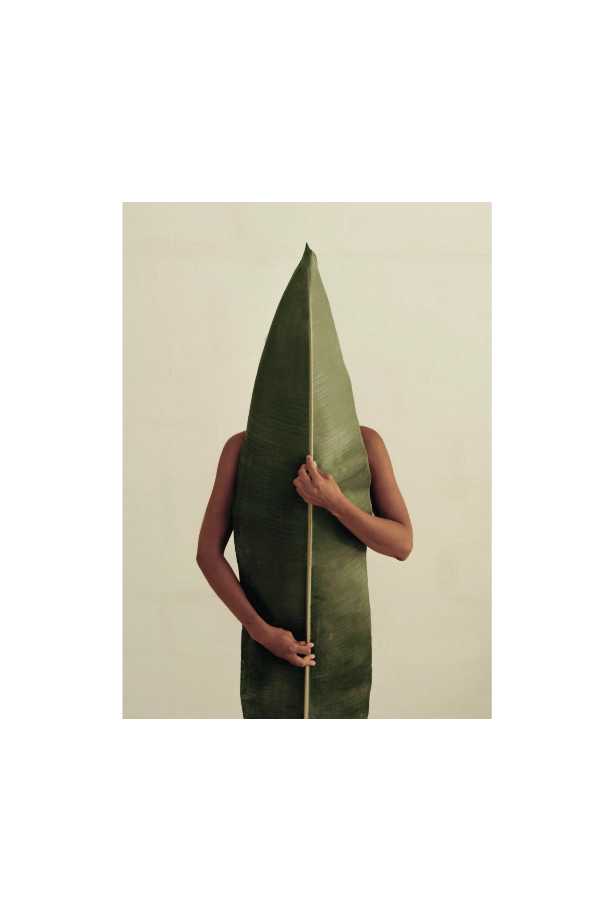 Paper Collective | Naturaleza 01 poster 50x70 | Home of Solinfo