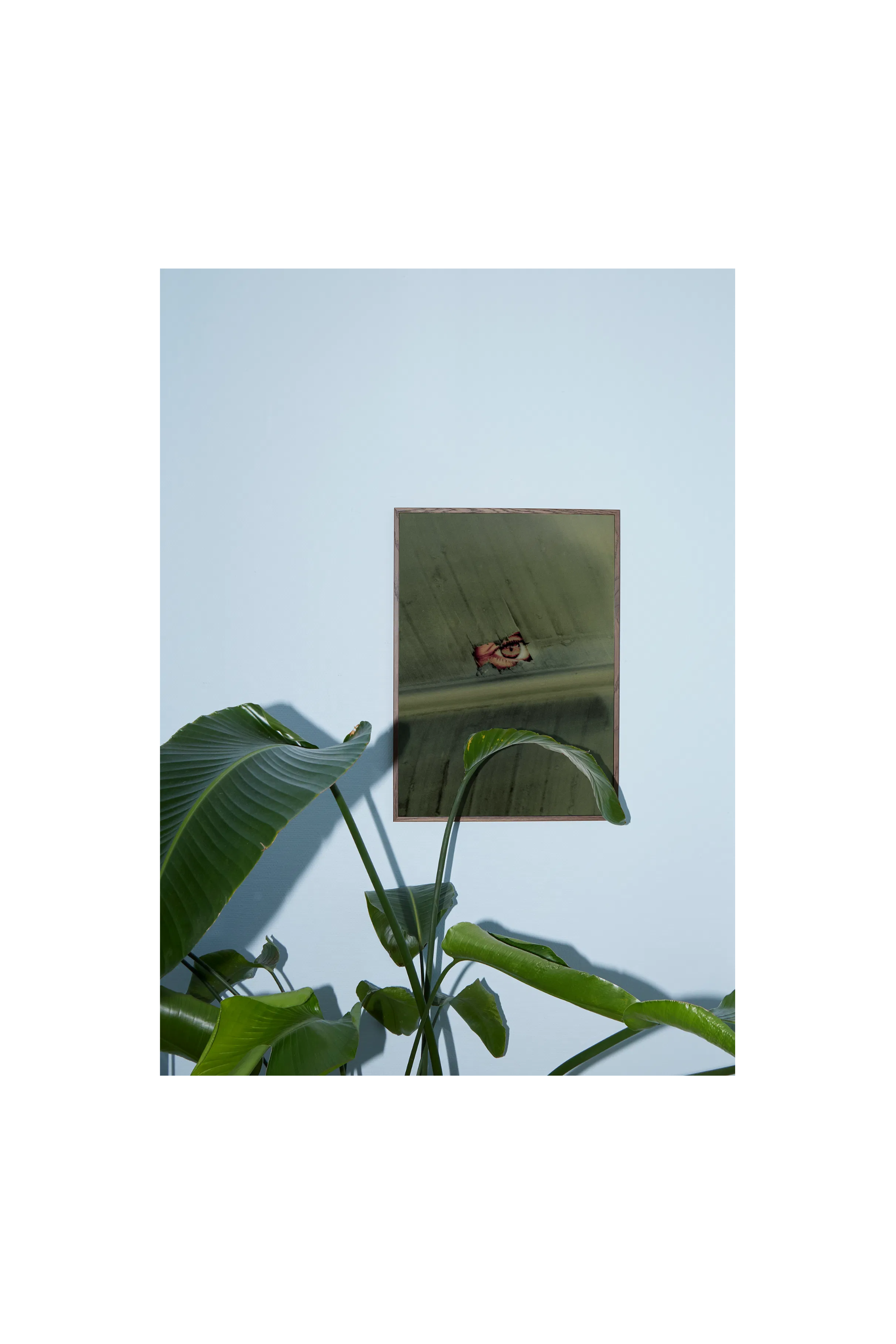 Paper Collective |  Naturaleza 02 poster 30x40 | Home of Solinfo