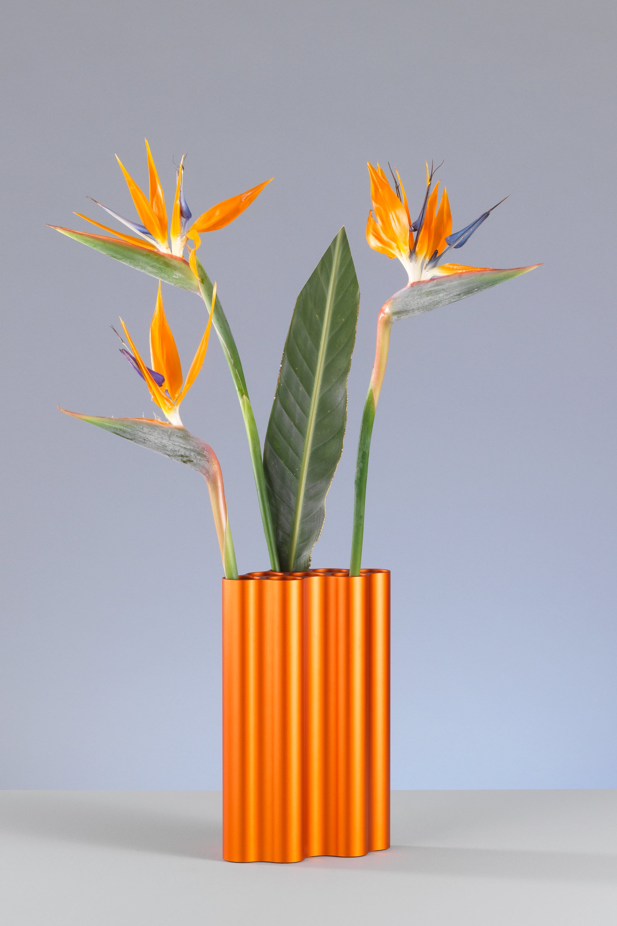 Nuage nagy narancs váza