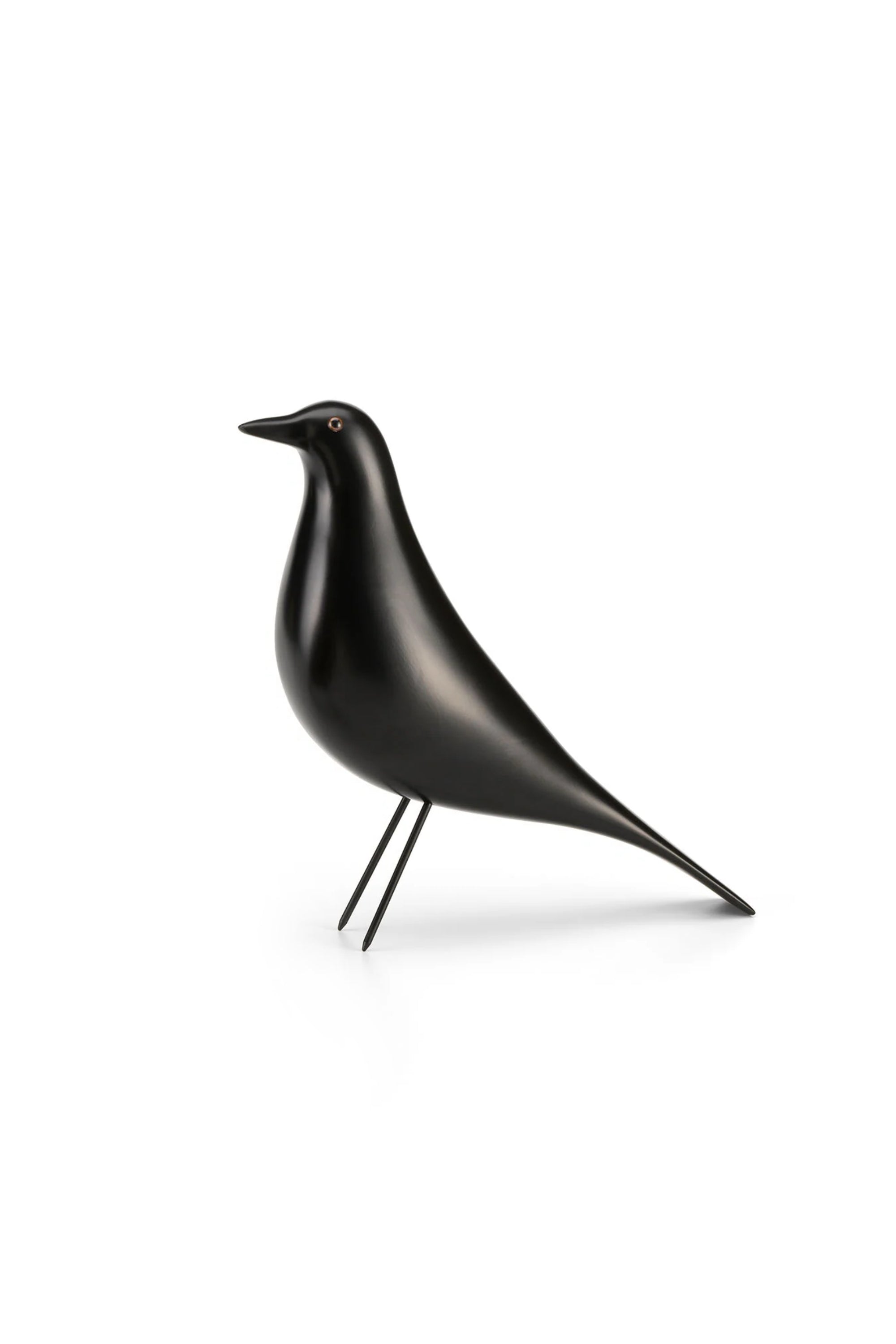 Eames House black bird